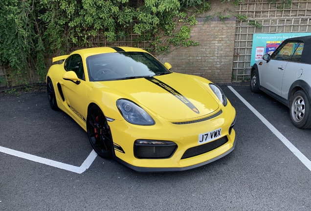 Porsche 981 Cayman GT4