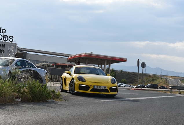 Porsche 981 Cayman GT4