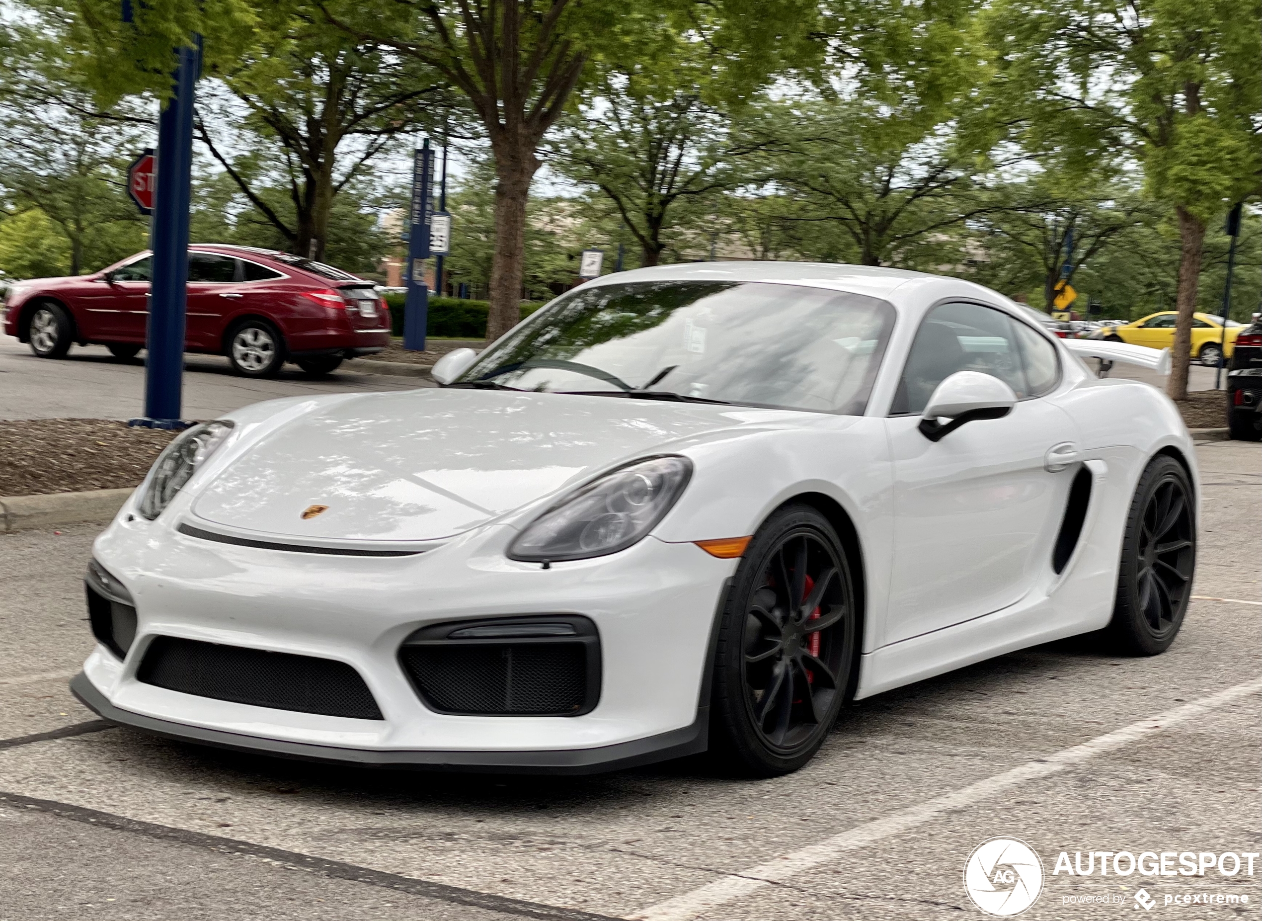 Porsche 981 Cayman GT4