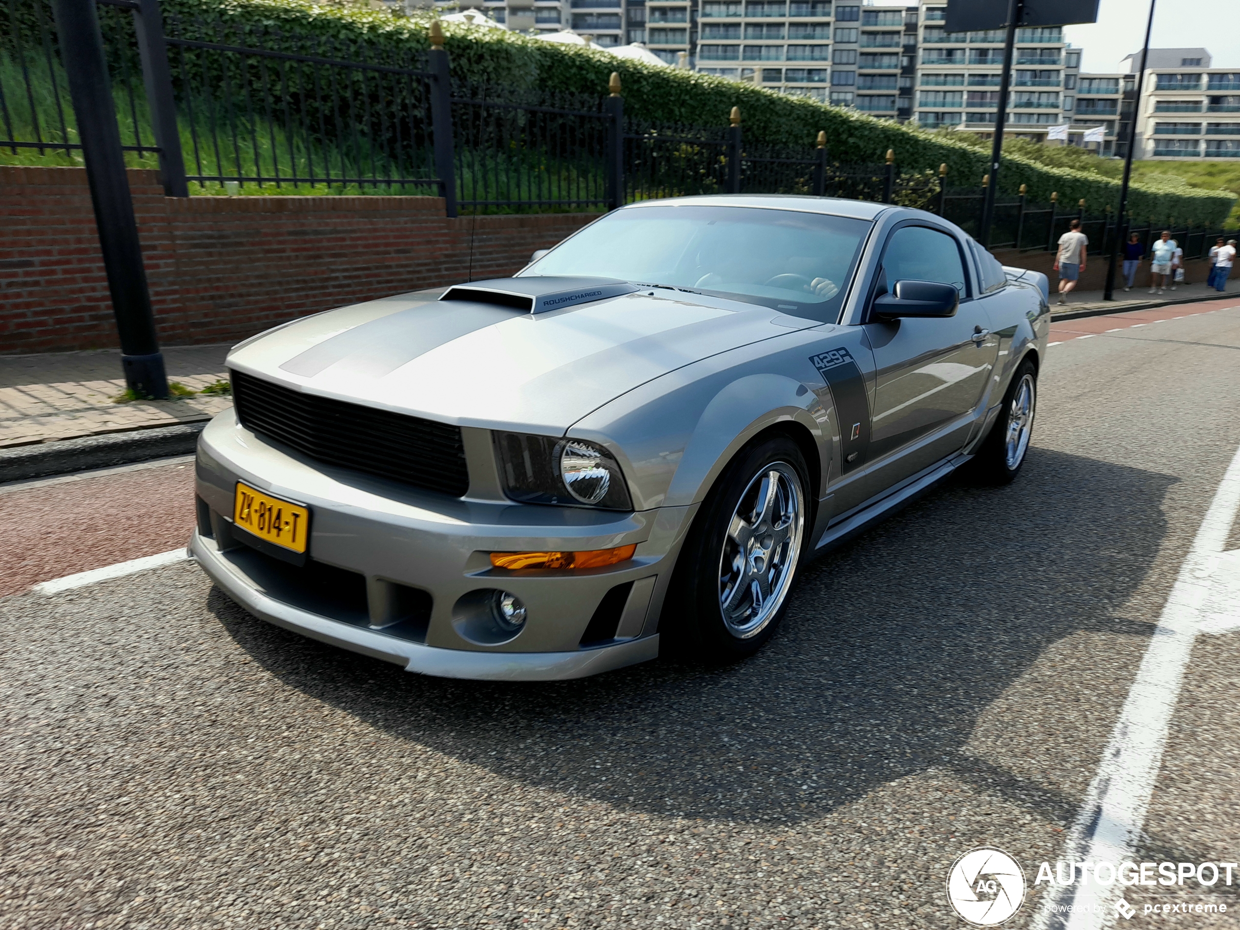 Ford Mustang Roush 429R