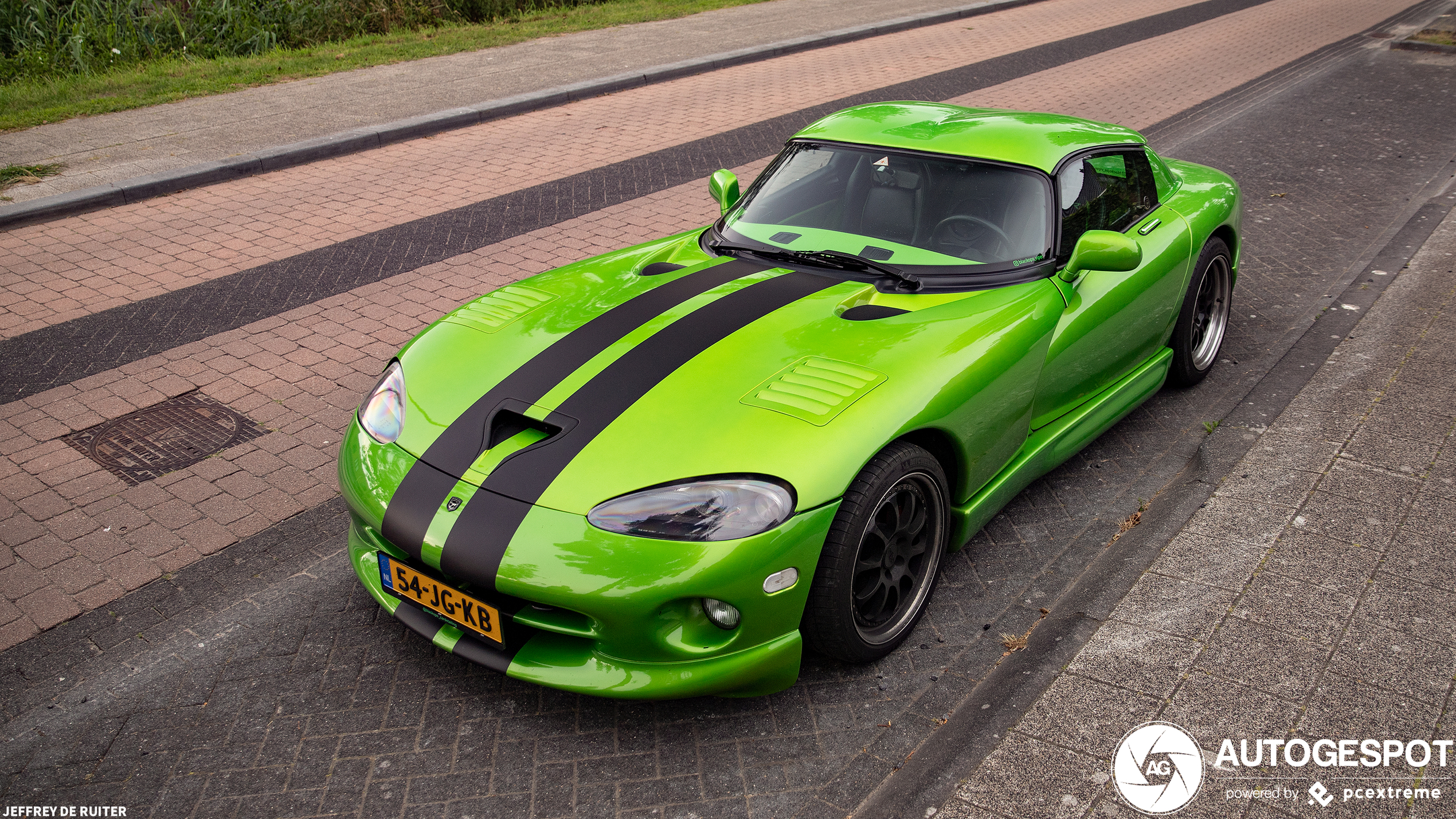 Viper in Nederland blijft bizar