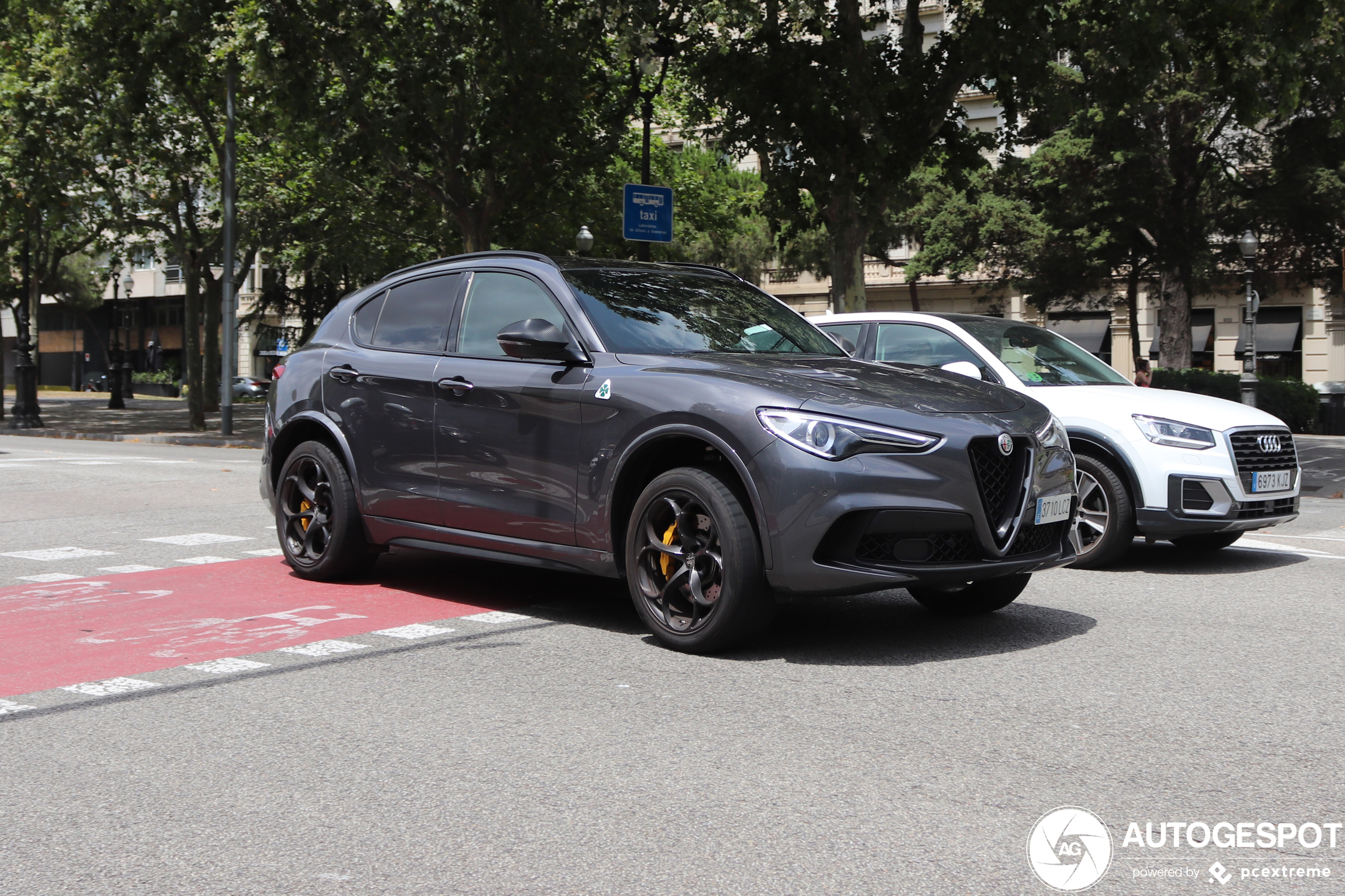 Alfa Romeo Stelvio Quadrifoglio