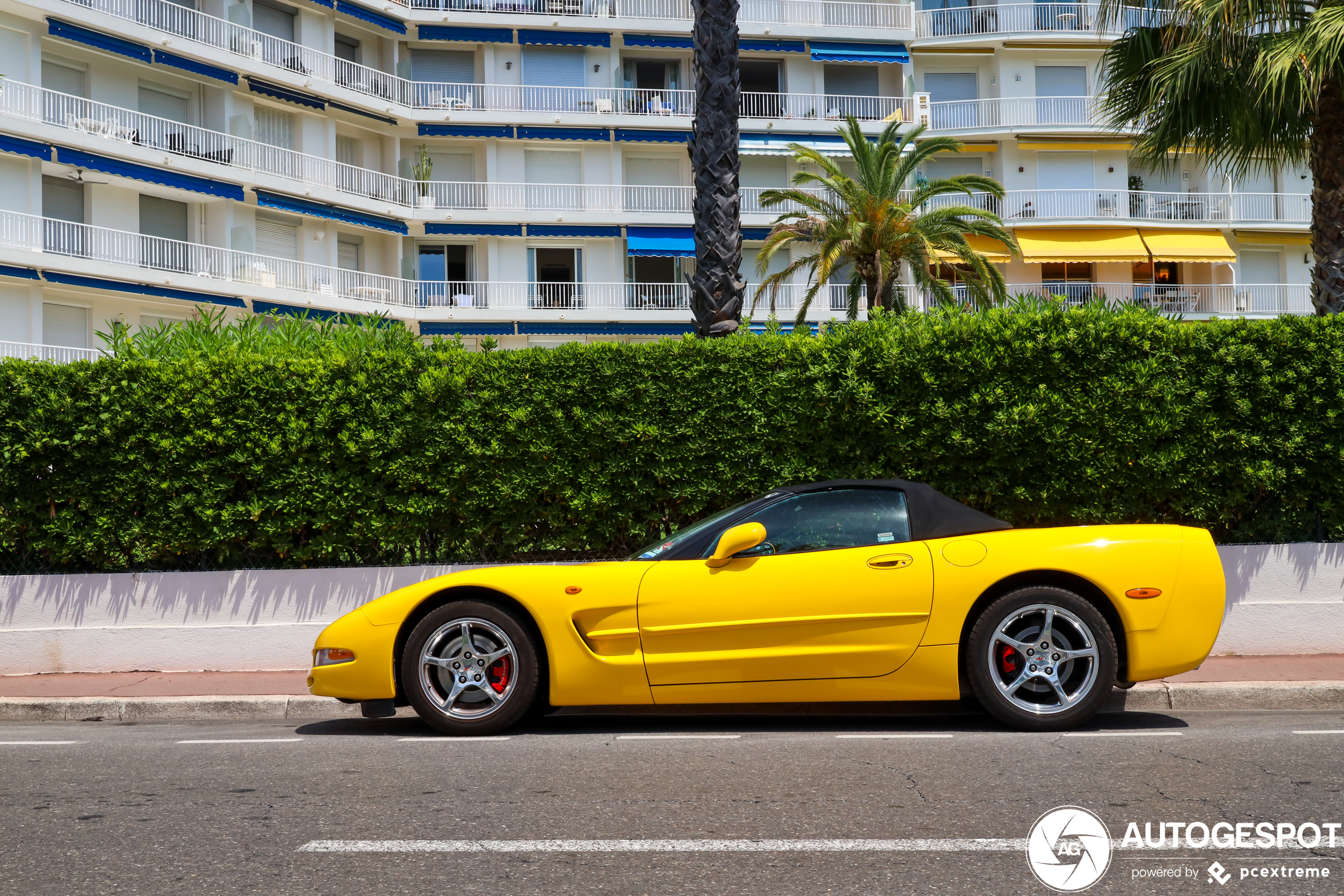 Chevrolet Corvette C5 Convertible