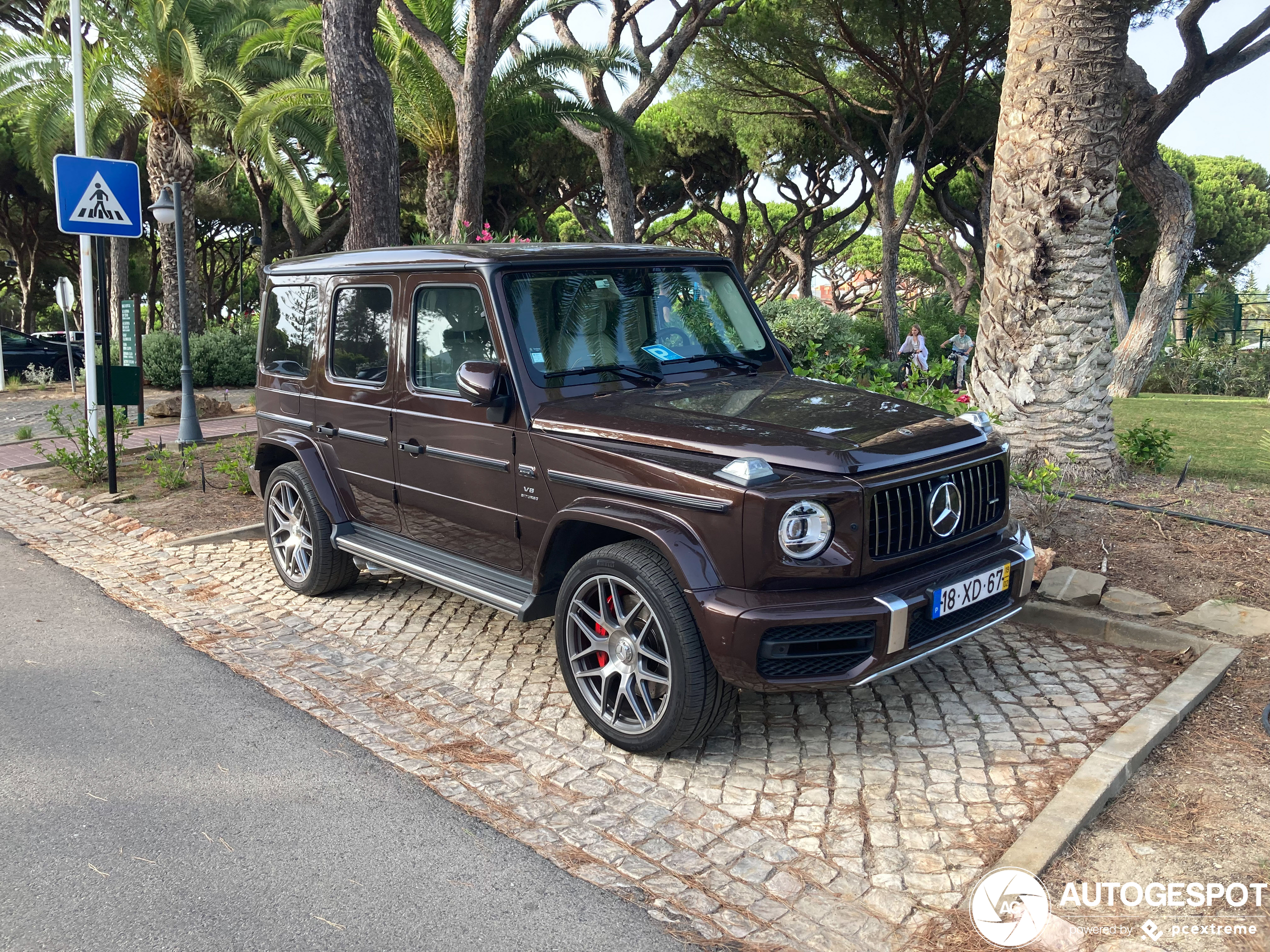 Mercedes-AMG G 63 W463 2018