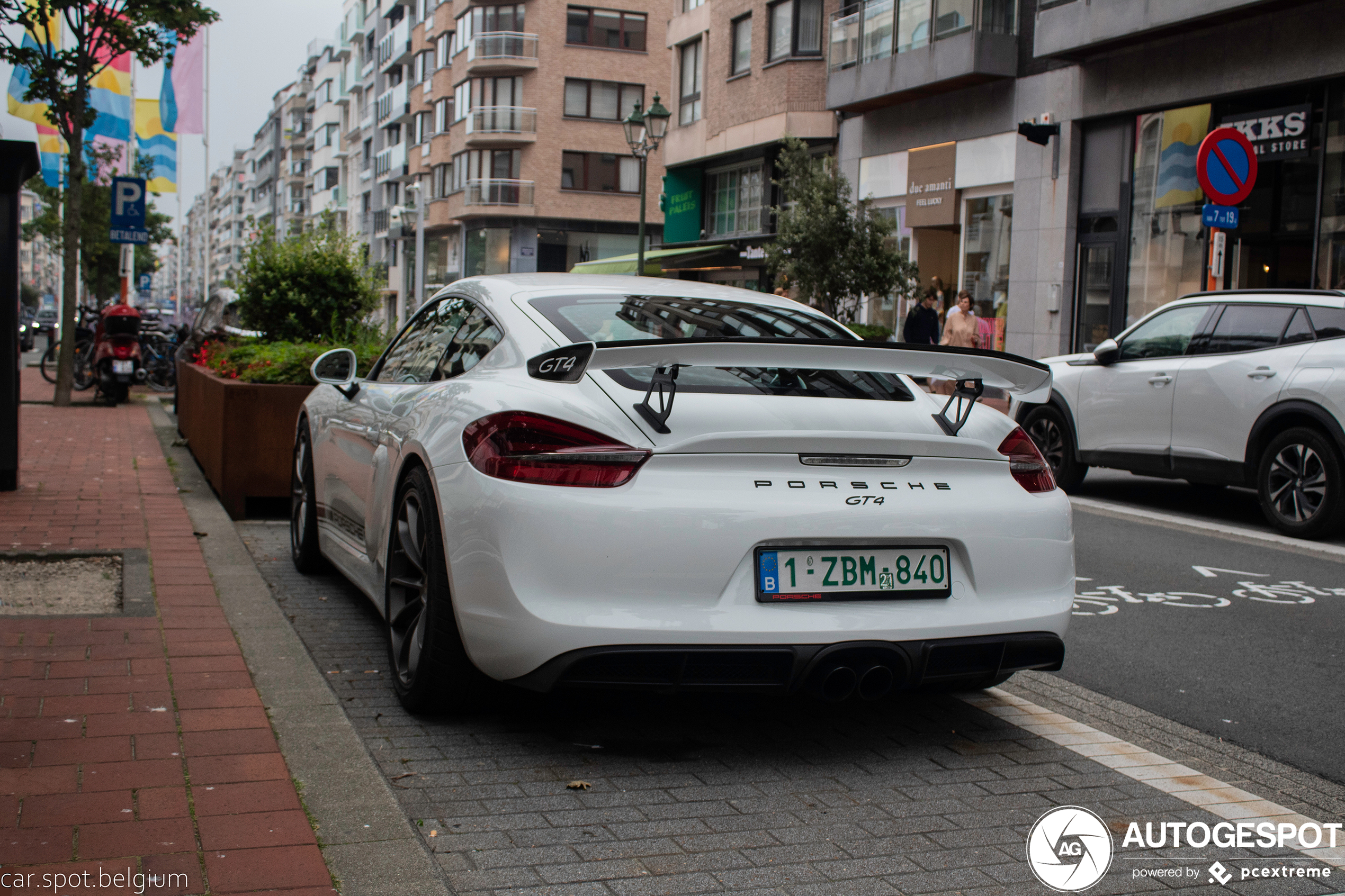 Porsche 981 Cayman GT4