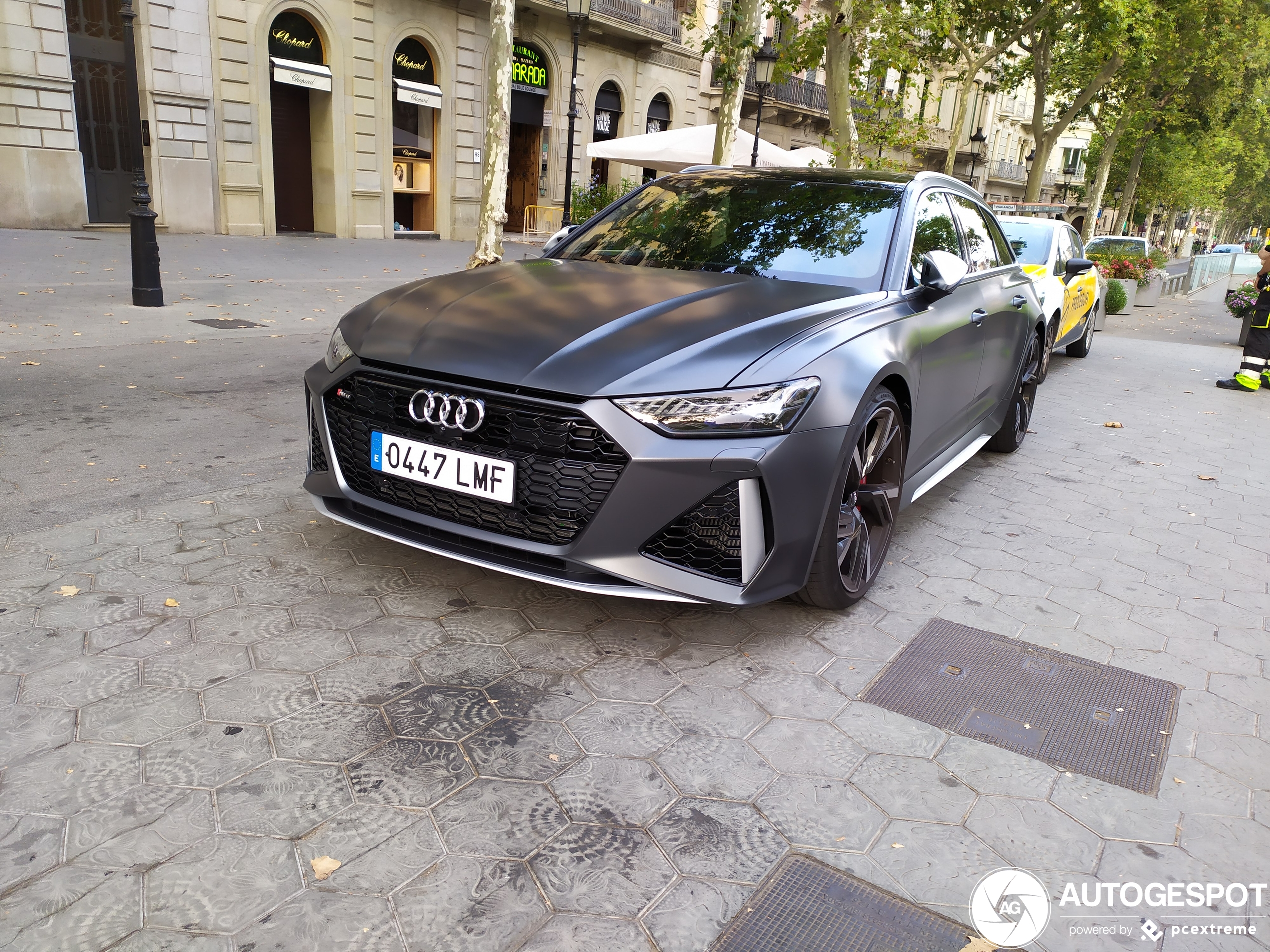 Audi RS6 Avant C8