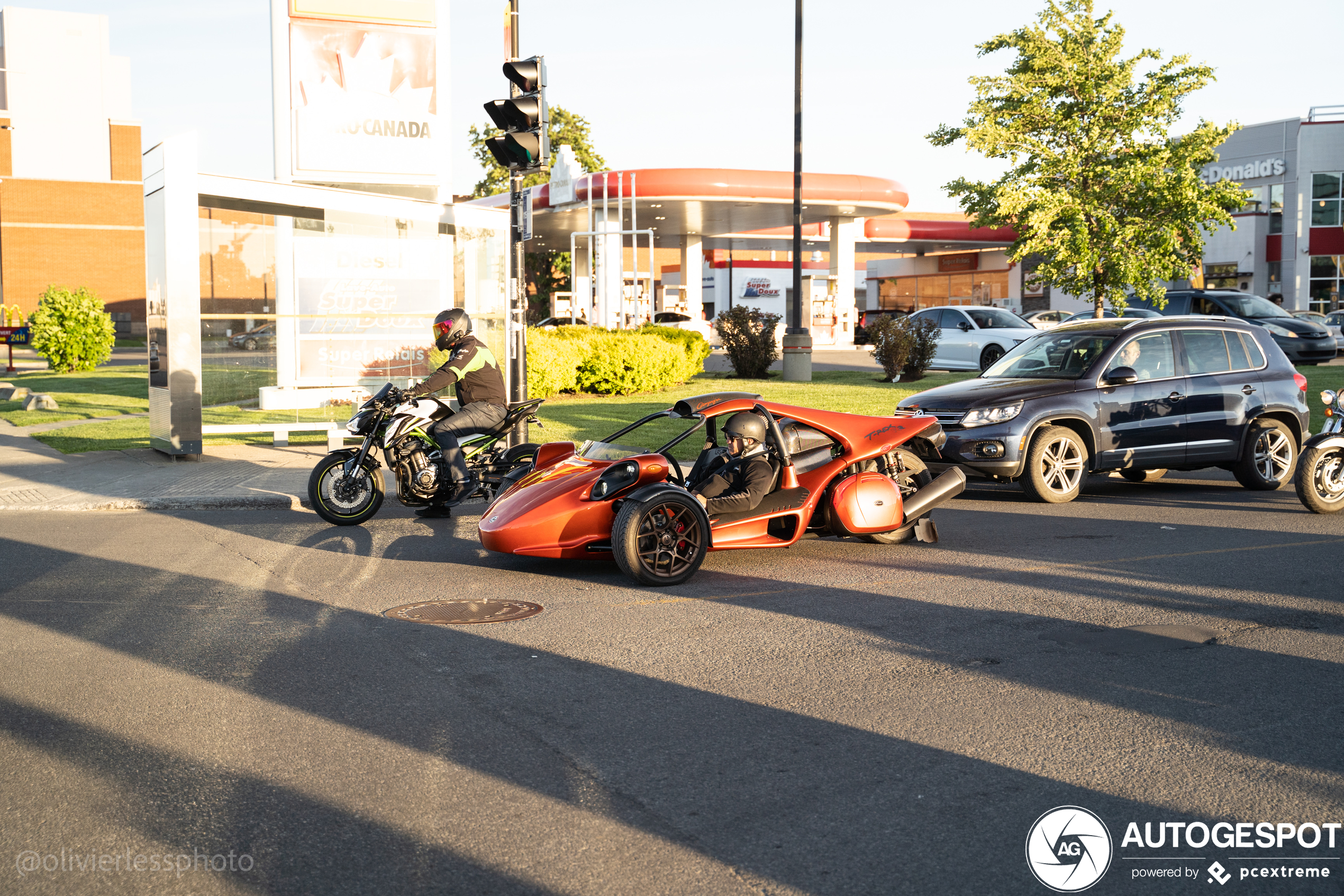 Campagna T-Rex RR