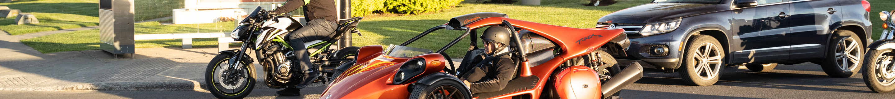 Campagna T-Rex RR