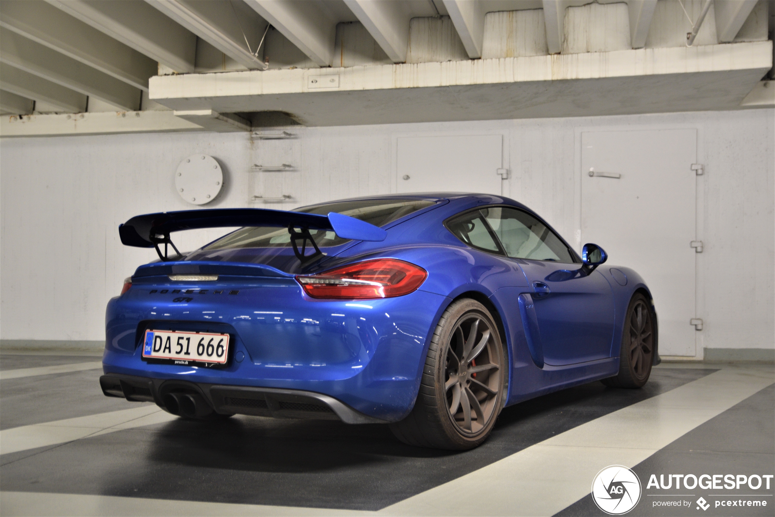 Porsche 981 Cayman GT4