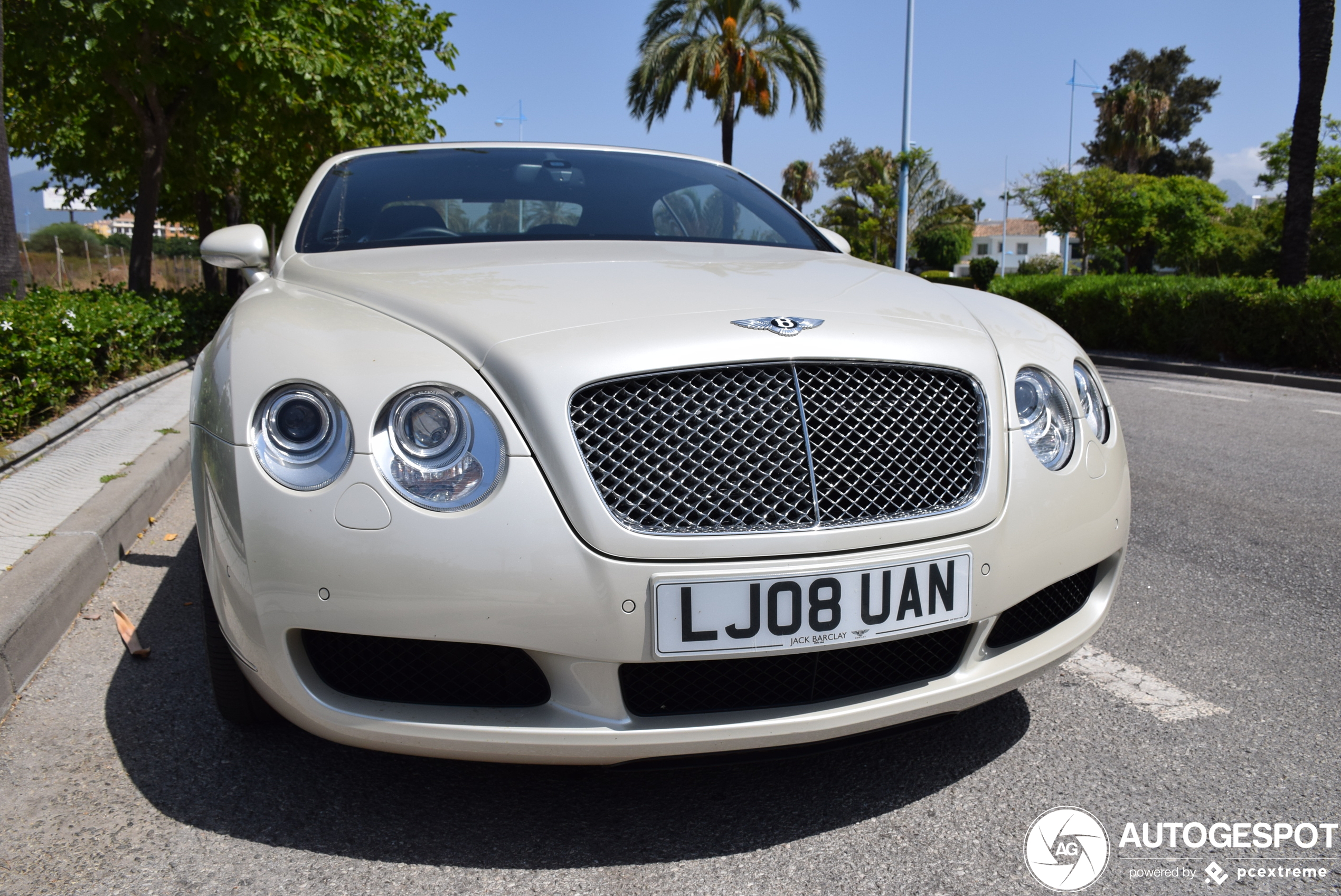 Bentley Continental GTC