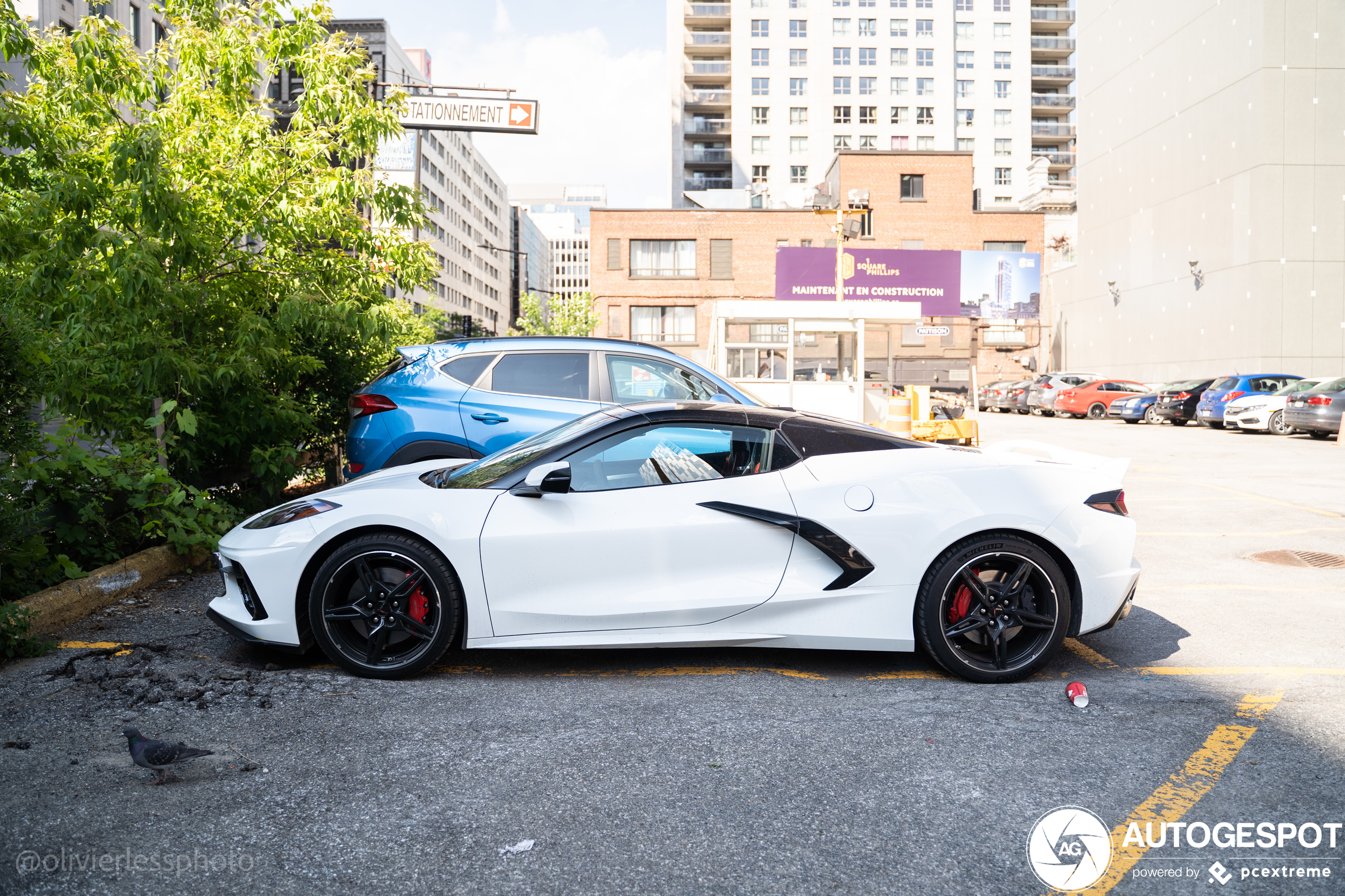 Chevrolet Corvette C8 Convertible