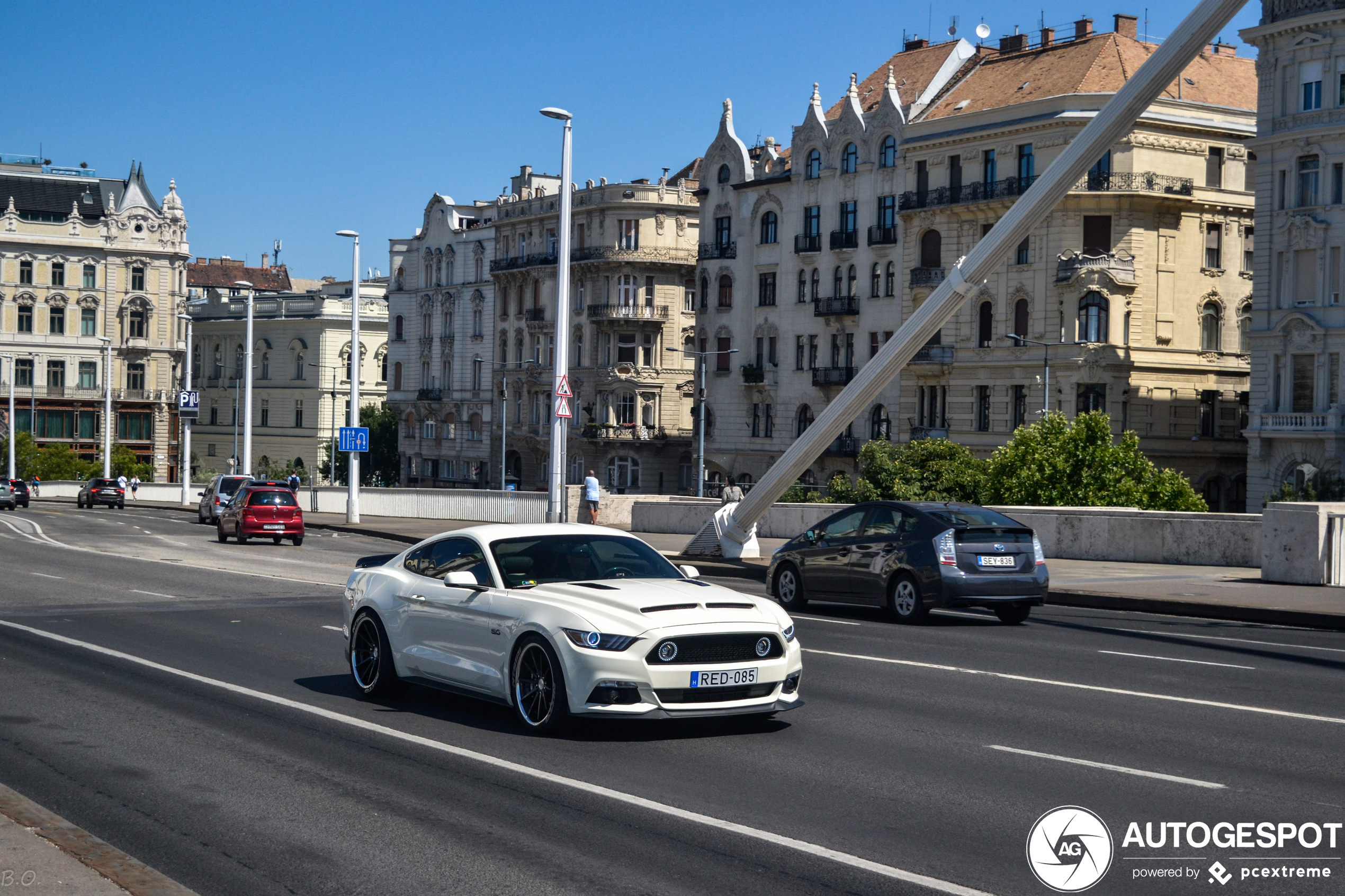 Ford Mustang GT 50th Anniversary Edition DF Tuning