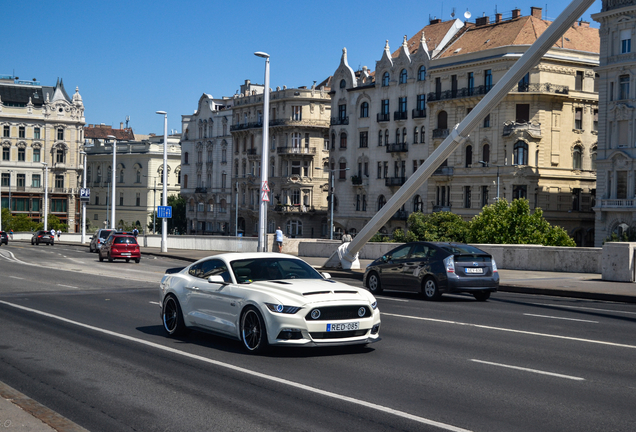 Ford Mustang GT 50th Anniversary Edition DF Tuning