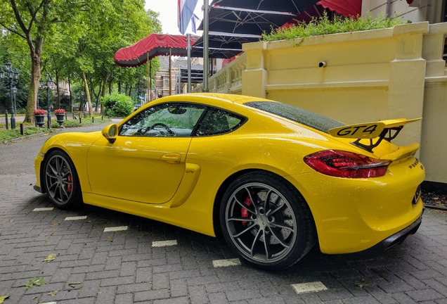 Porsche 981 Cayman GT4