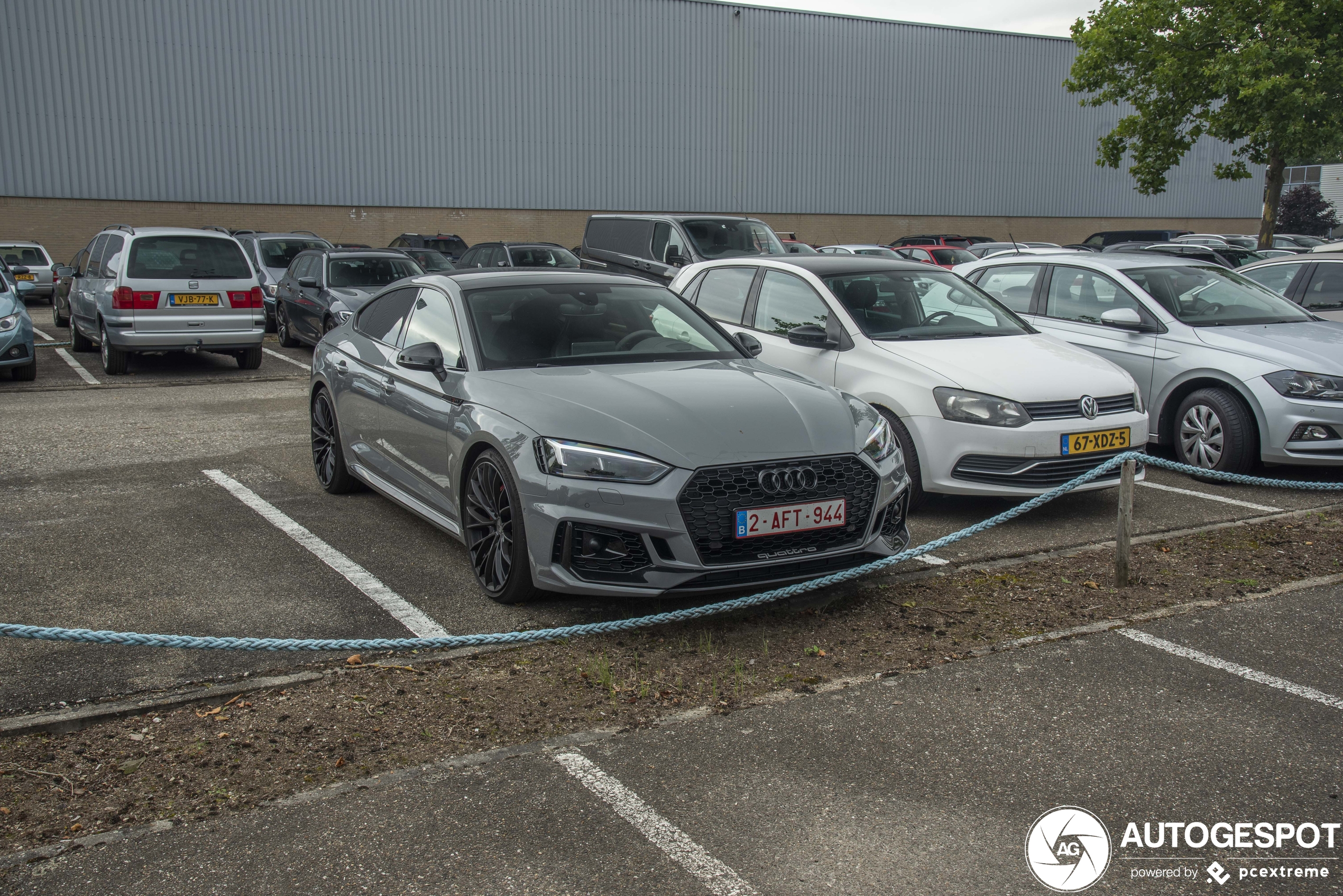 Audi RS5 Sportback B9