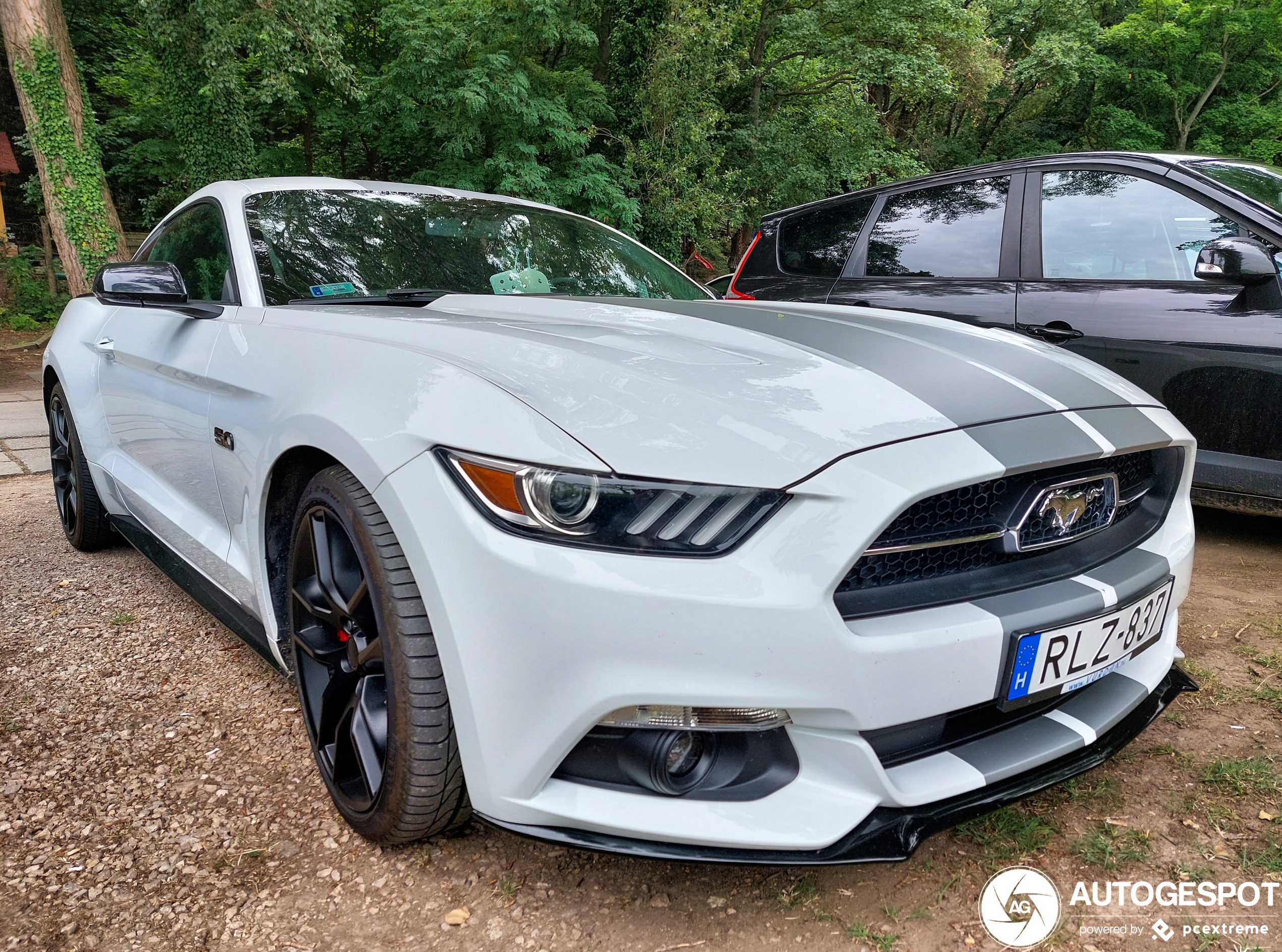 Ford Mustang GT 50th Anniversary Edition