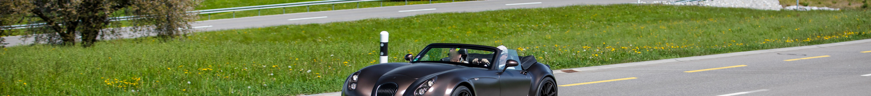 Wiesmann Roadster MF4-S