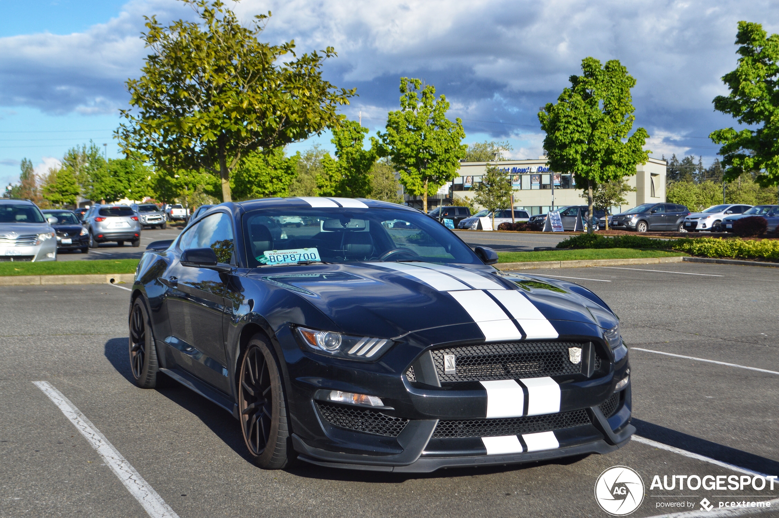 Ford Mustang Shelby GT350 2015