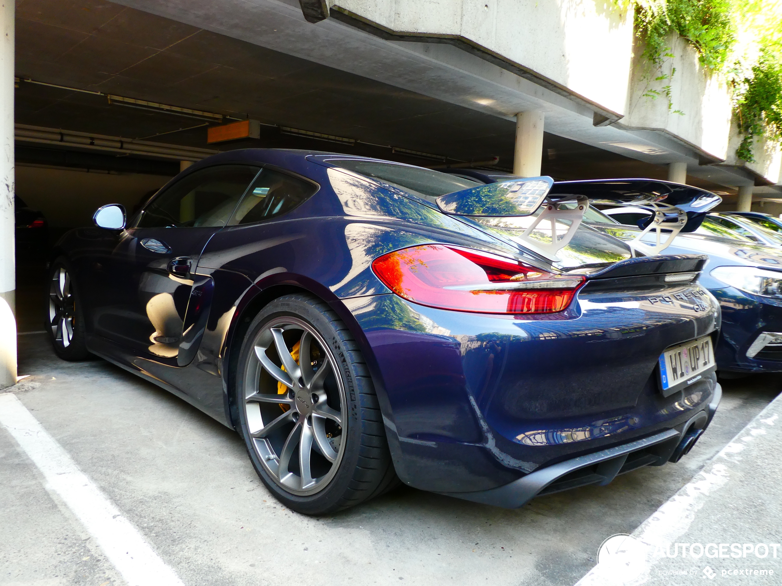 Porsche 981 Cayman GT4