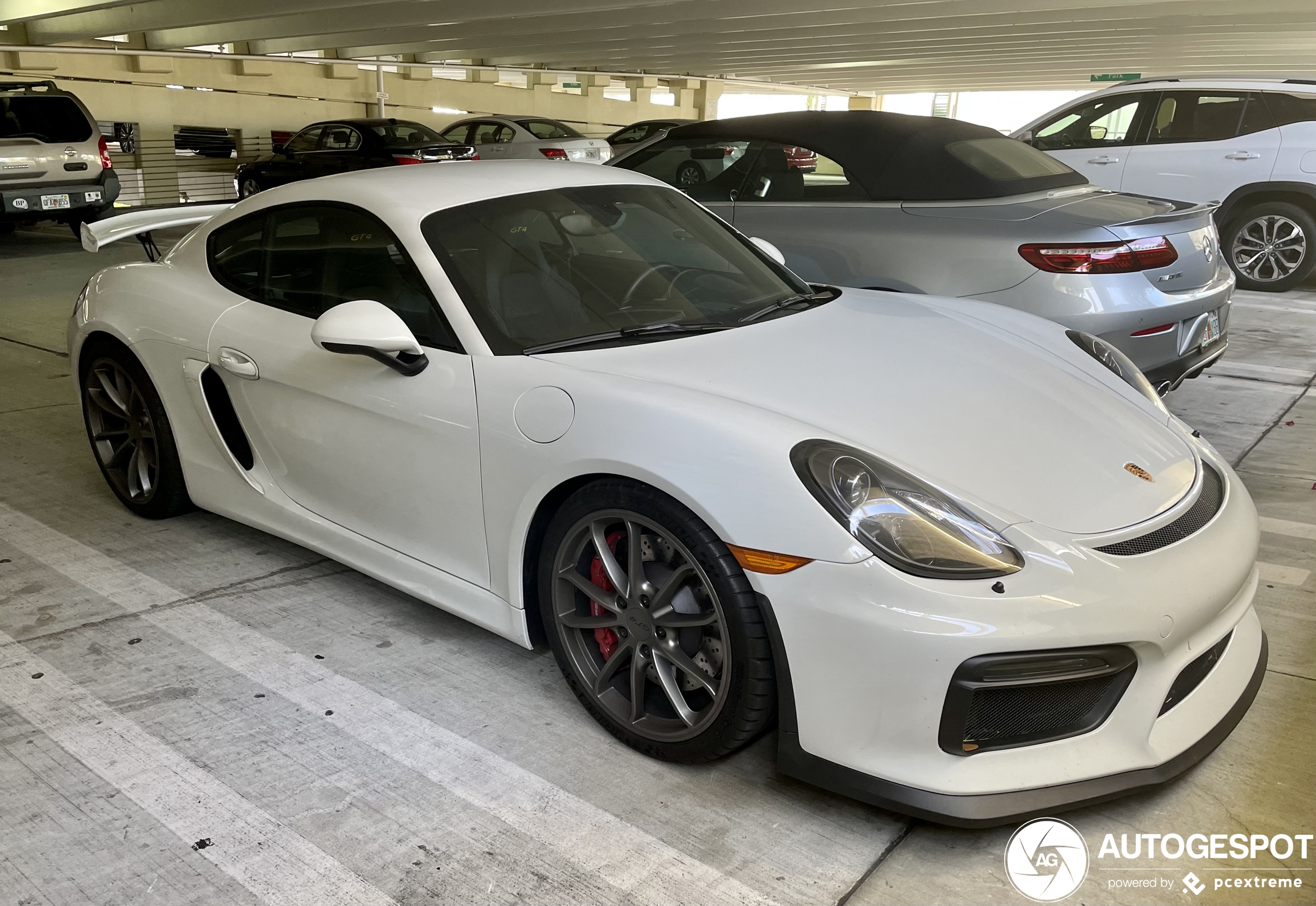 Porsche 981 Cayman GT4