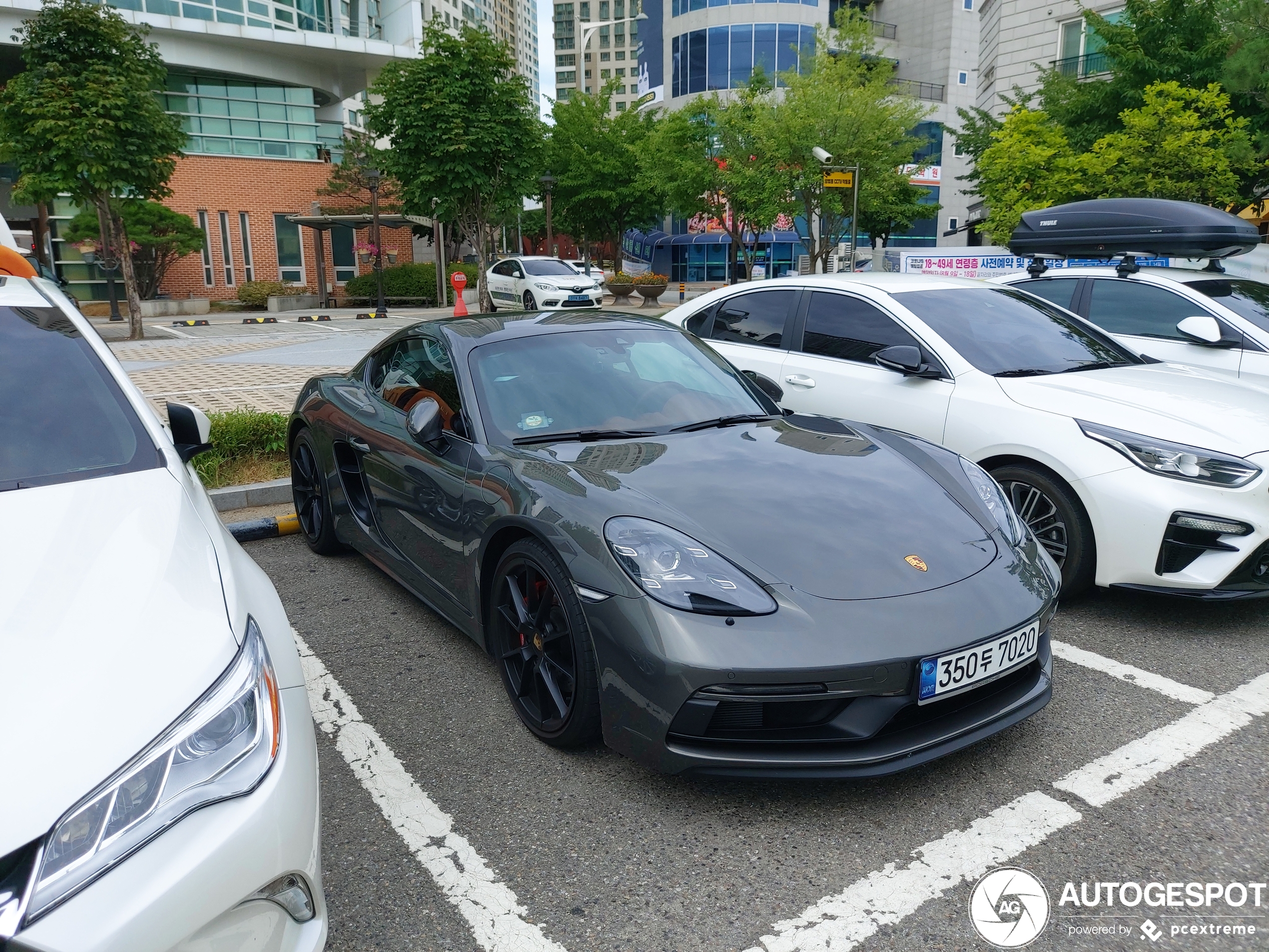 Porsche 718 Cayman GTS 4.0