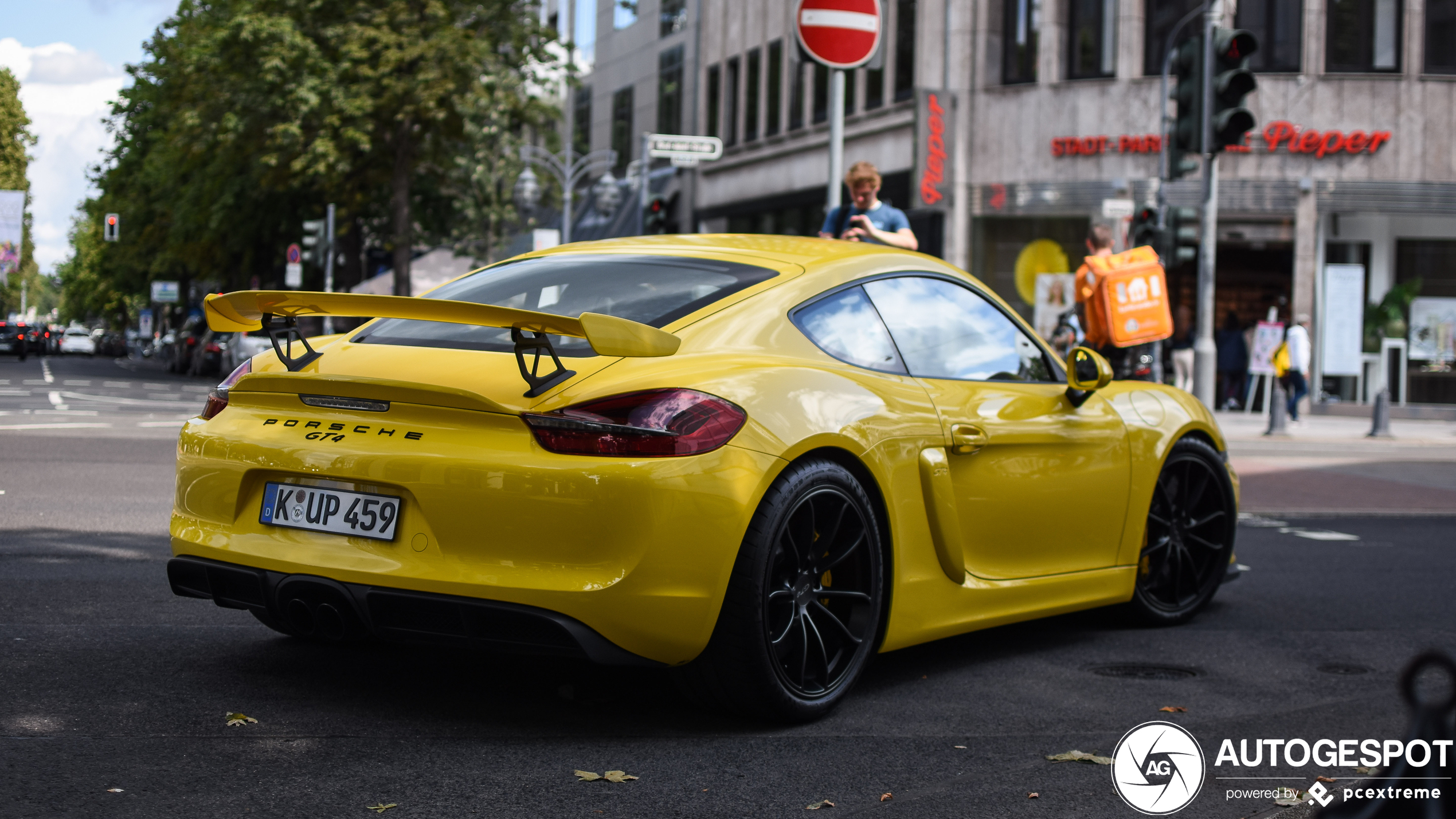 Porsche 981 Cayman GT4