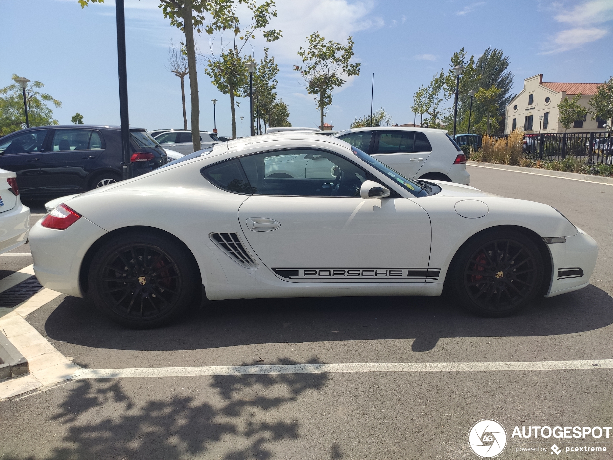 Porsche 987 Cayman S