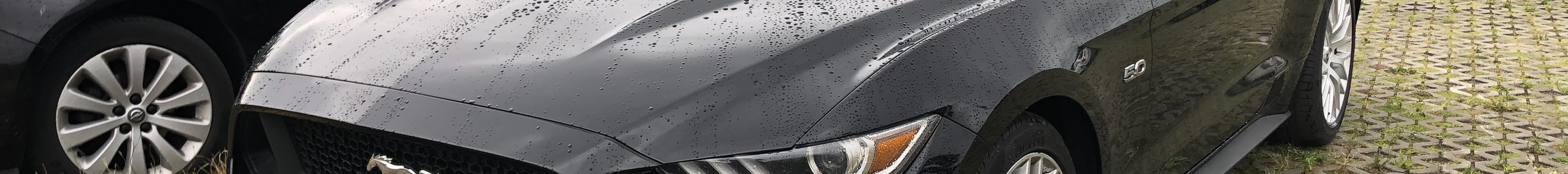 Ford Mustang GT 2015