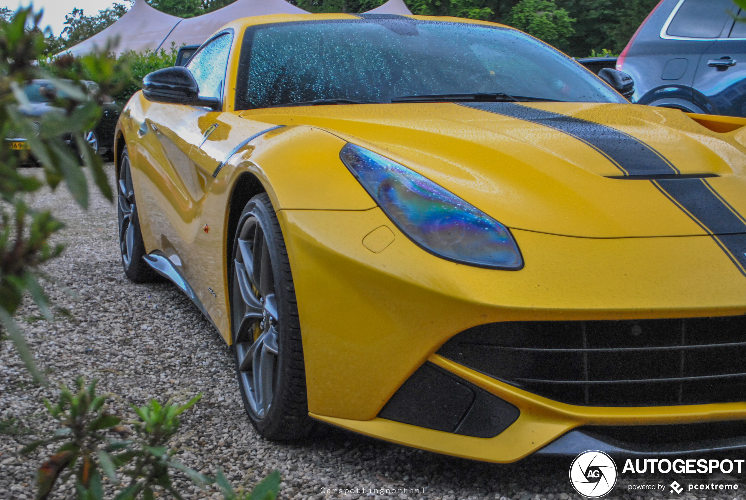 Ferrari F12berlinetta