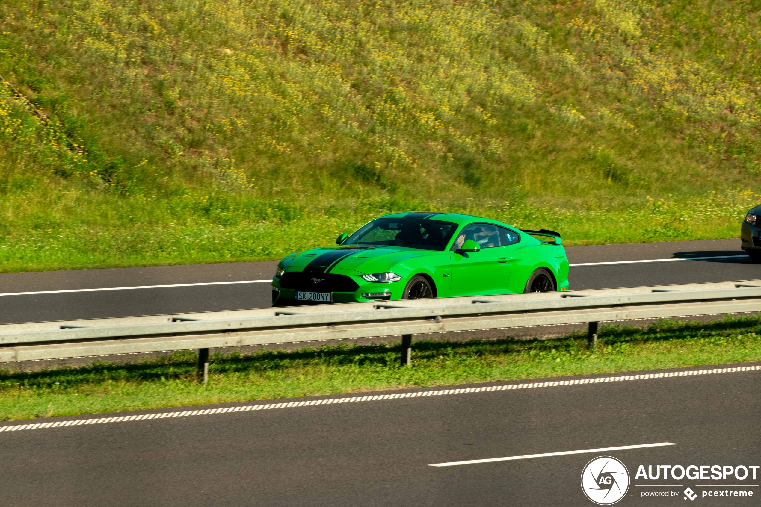 Ford Mustang GT 2018