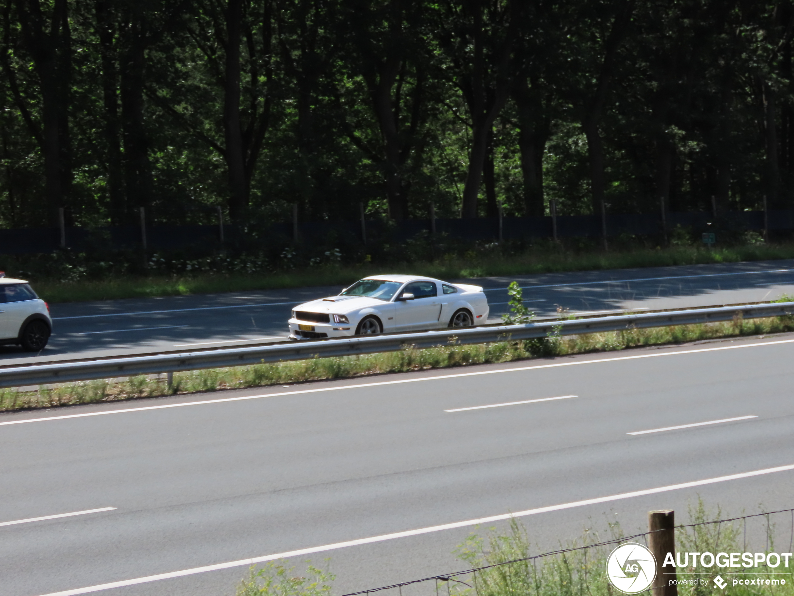 Ford Mustang Shelby GT