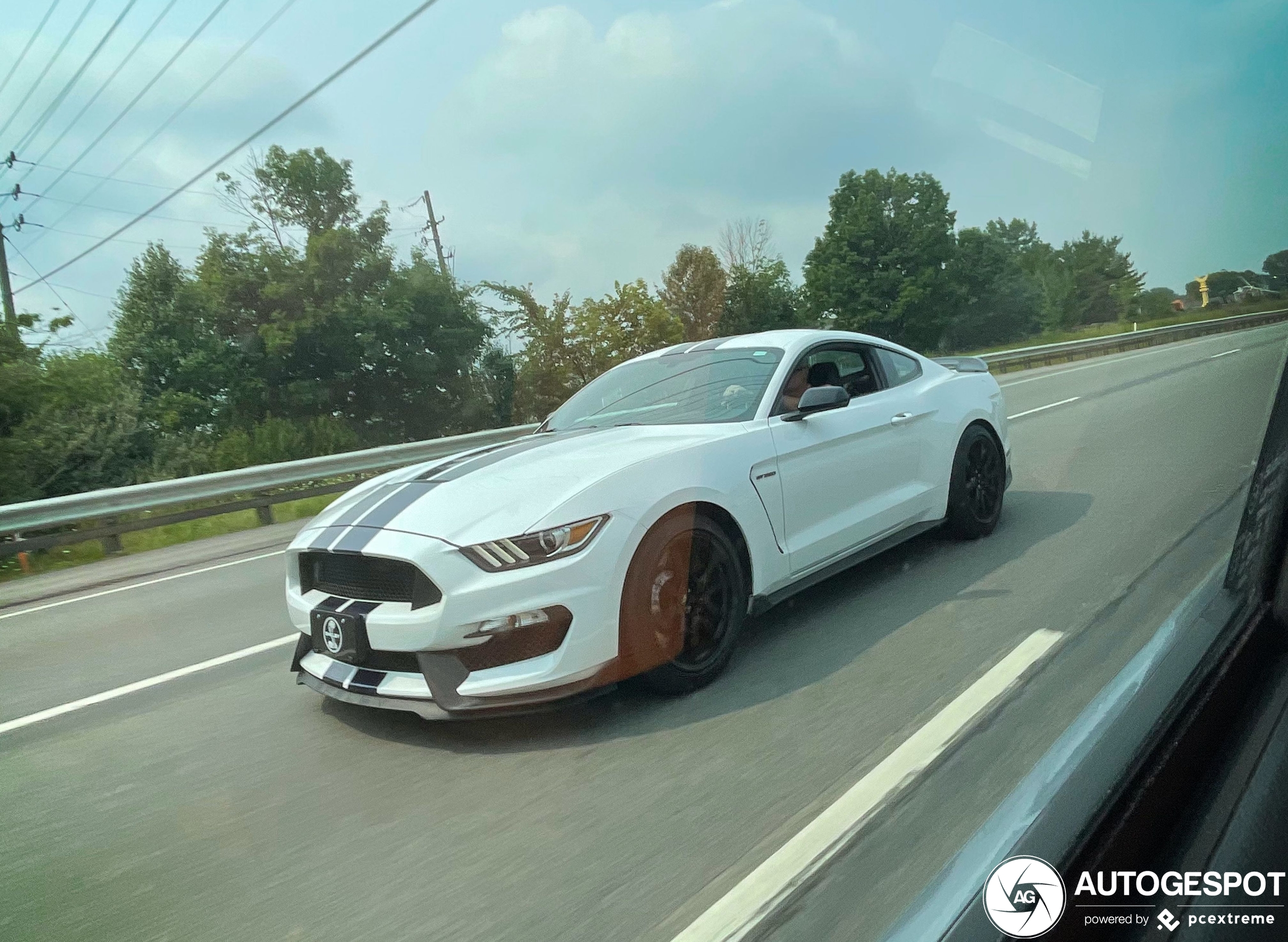 Ford Mustang Shelby GT350 2015