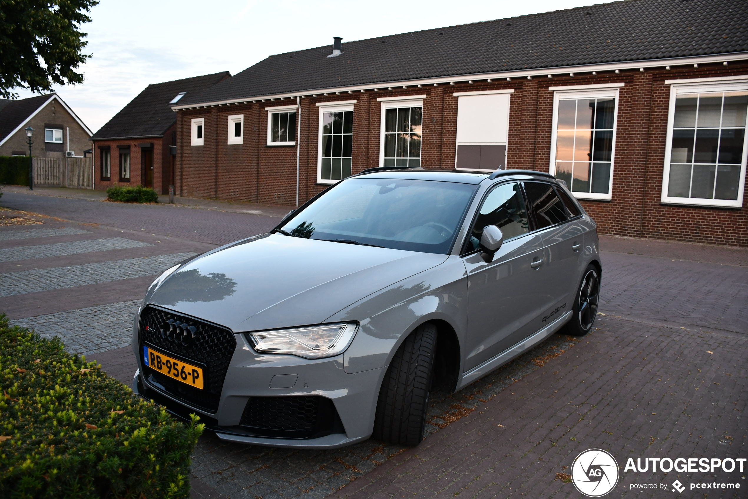 Audi RS3 Sportback 8V