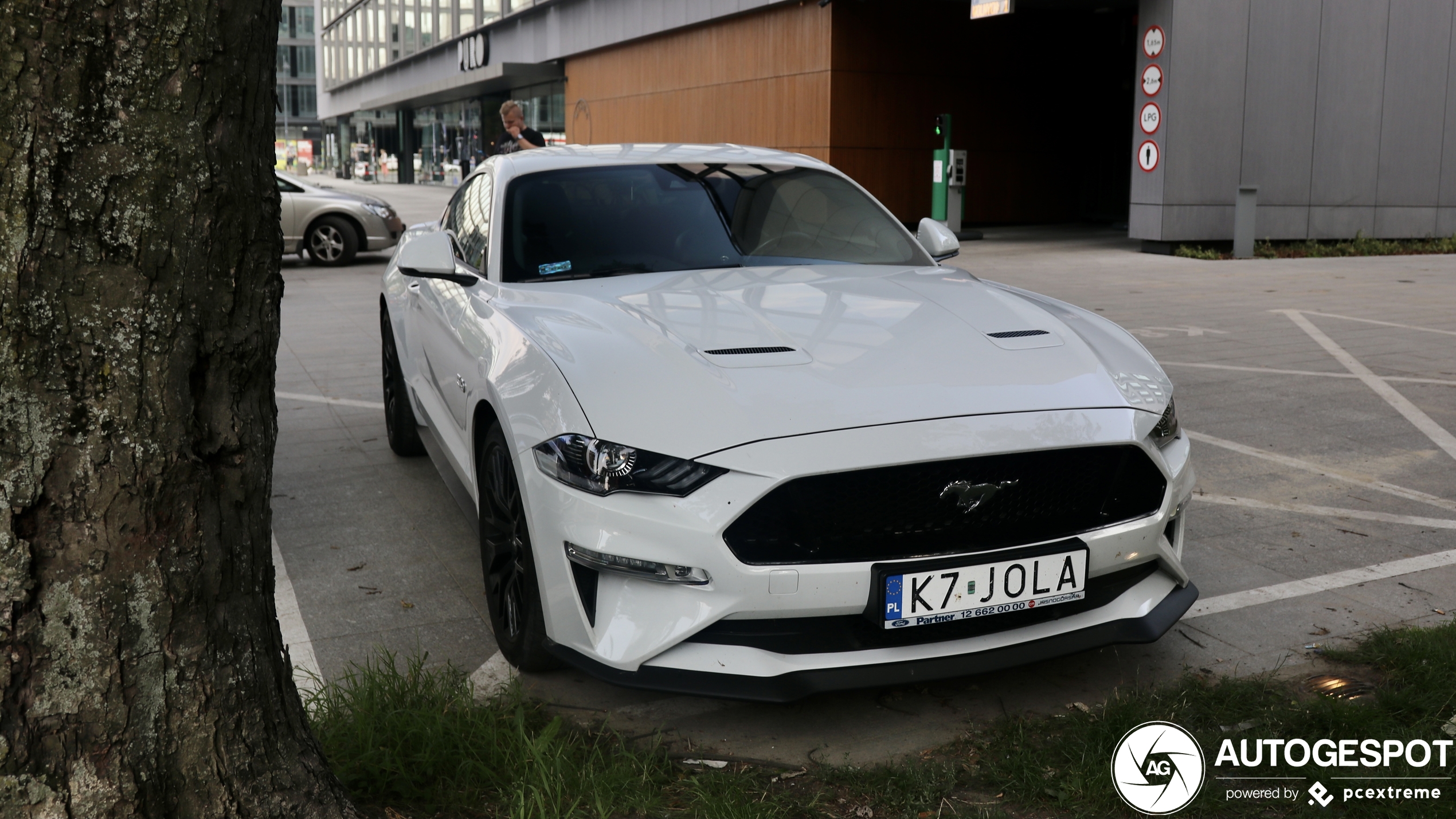 Ford Mustang GT 2018