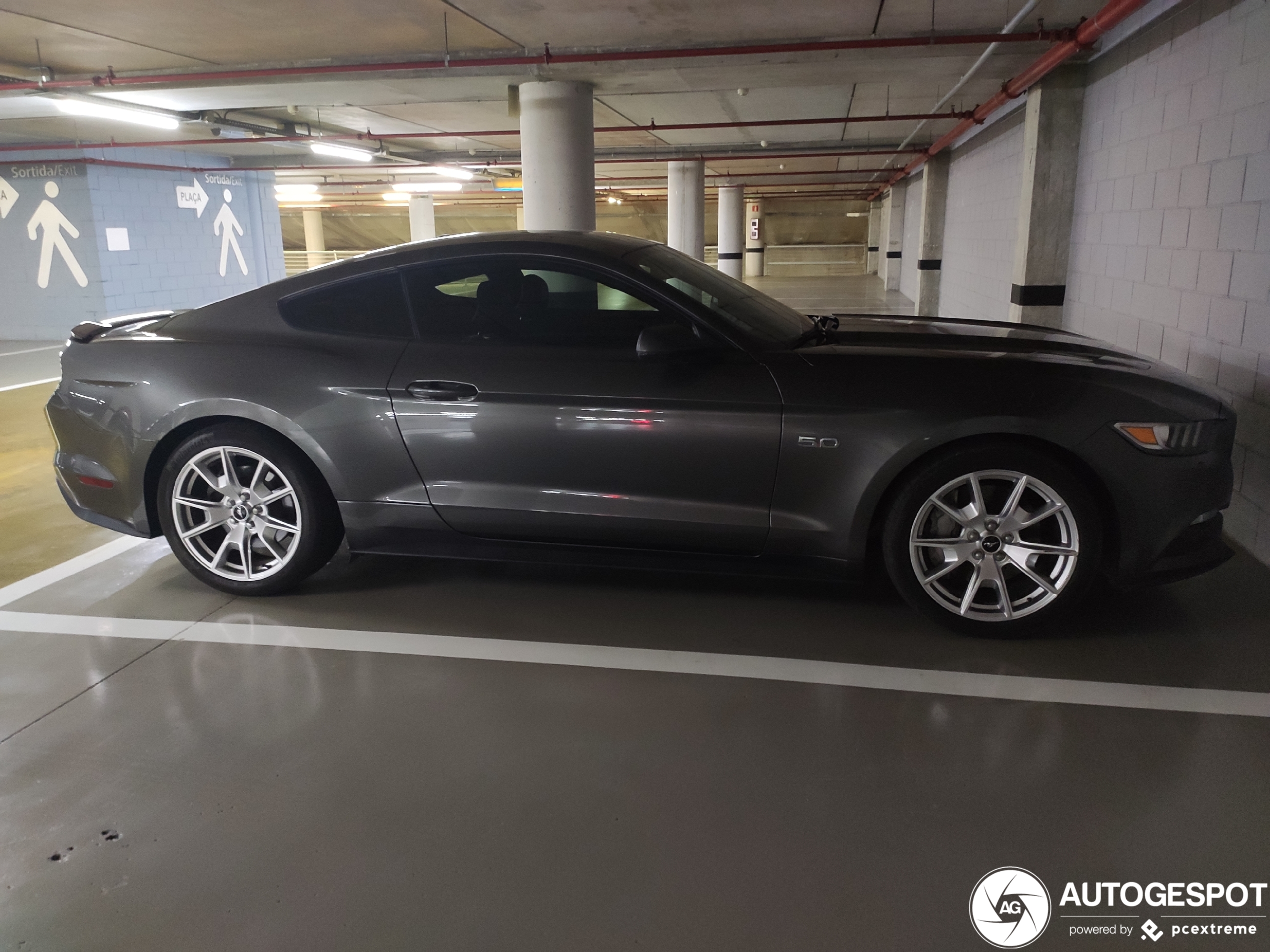 Ford Mustang GT 50th Anniversary Edition