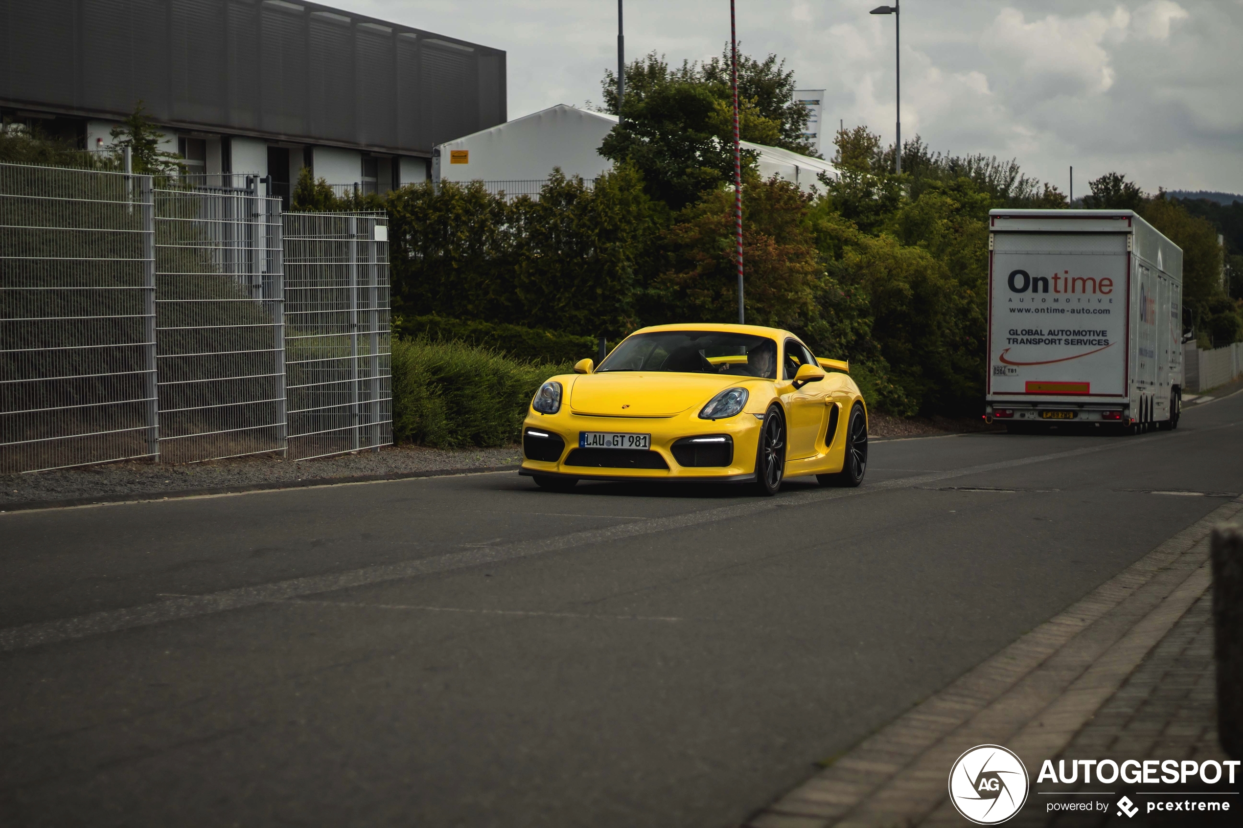 Porsche 981 Cayman GT4