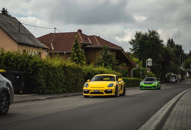 Porsche 981 Cayman GT4