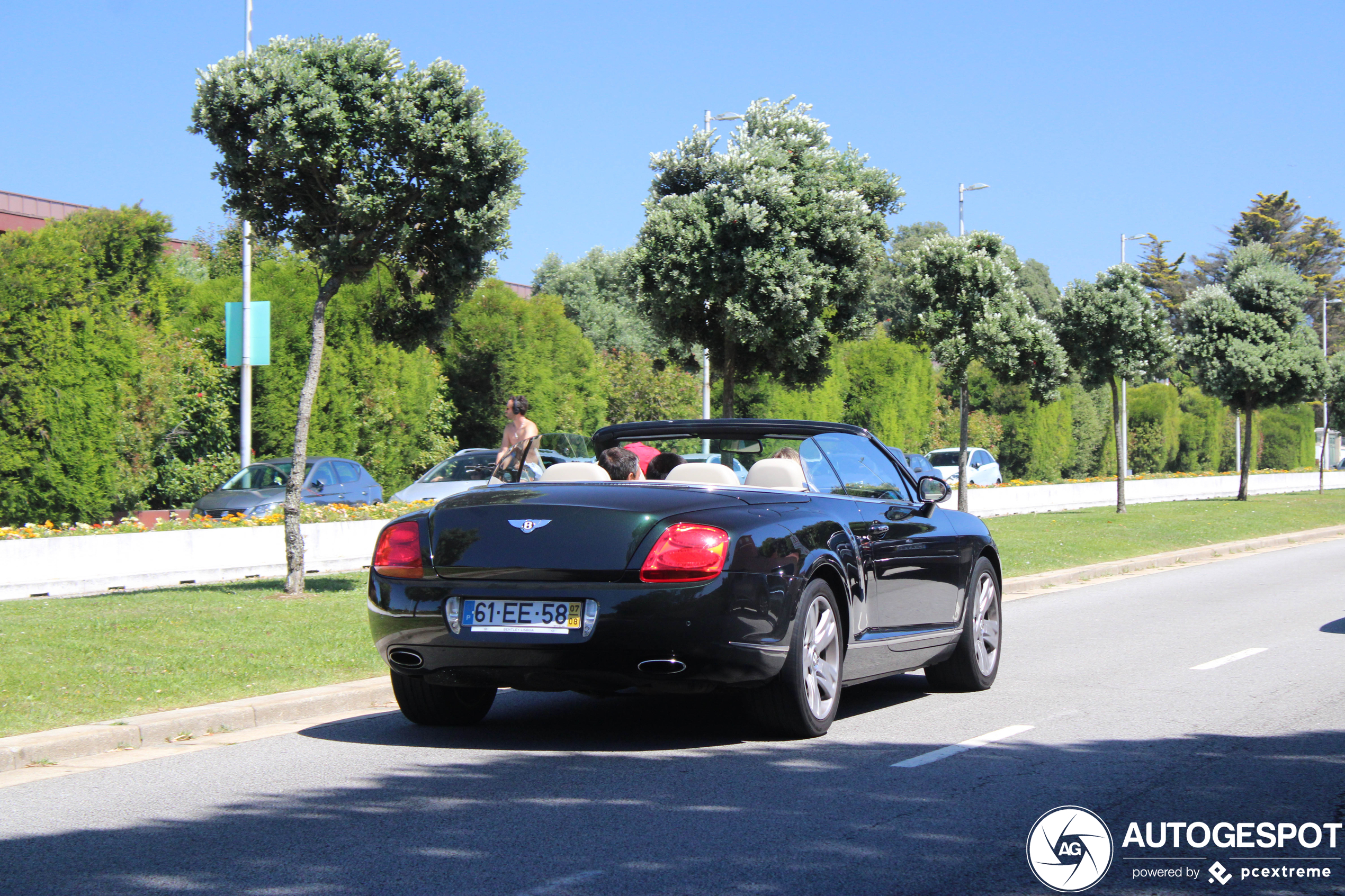 Bentley Continental GTC