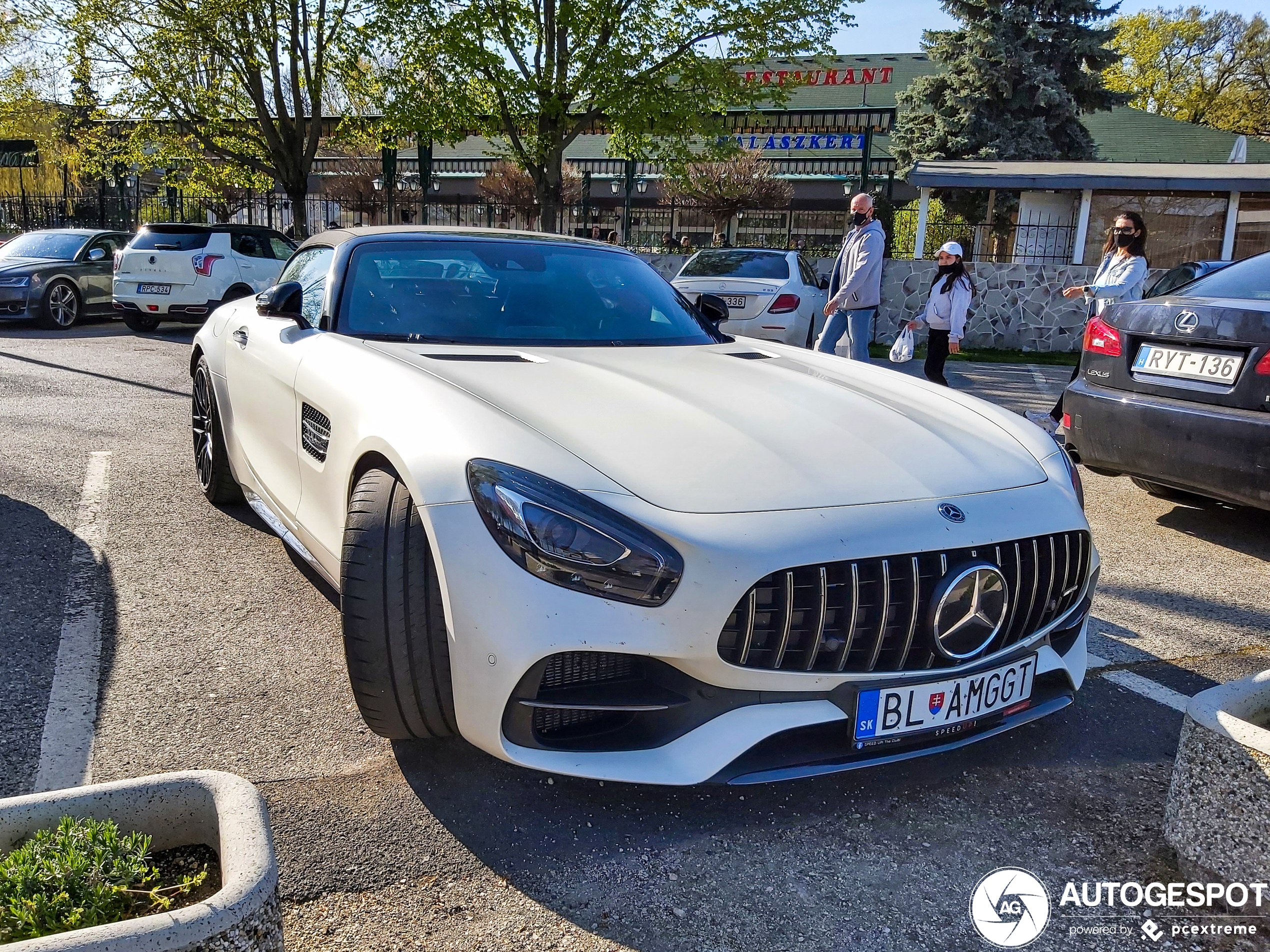 Mercedes-AMG GT C Roadster R190 Edition 50