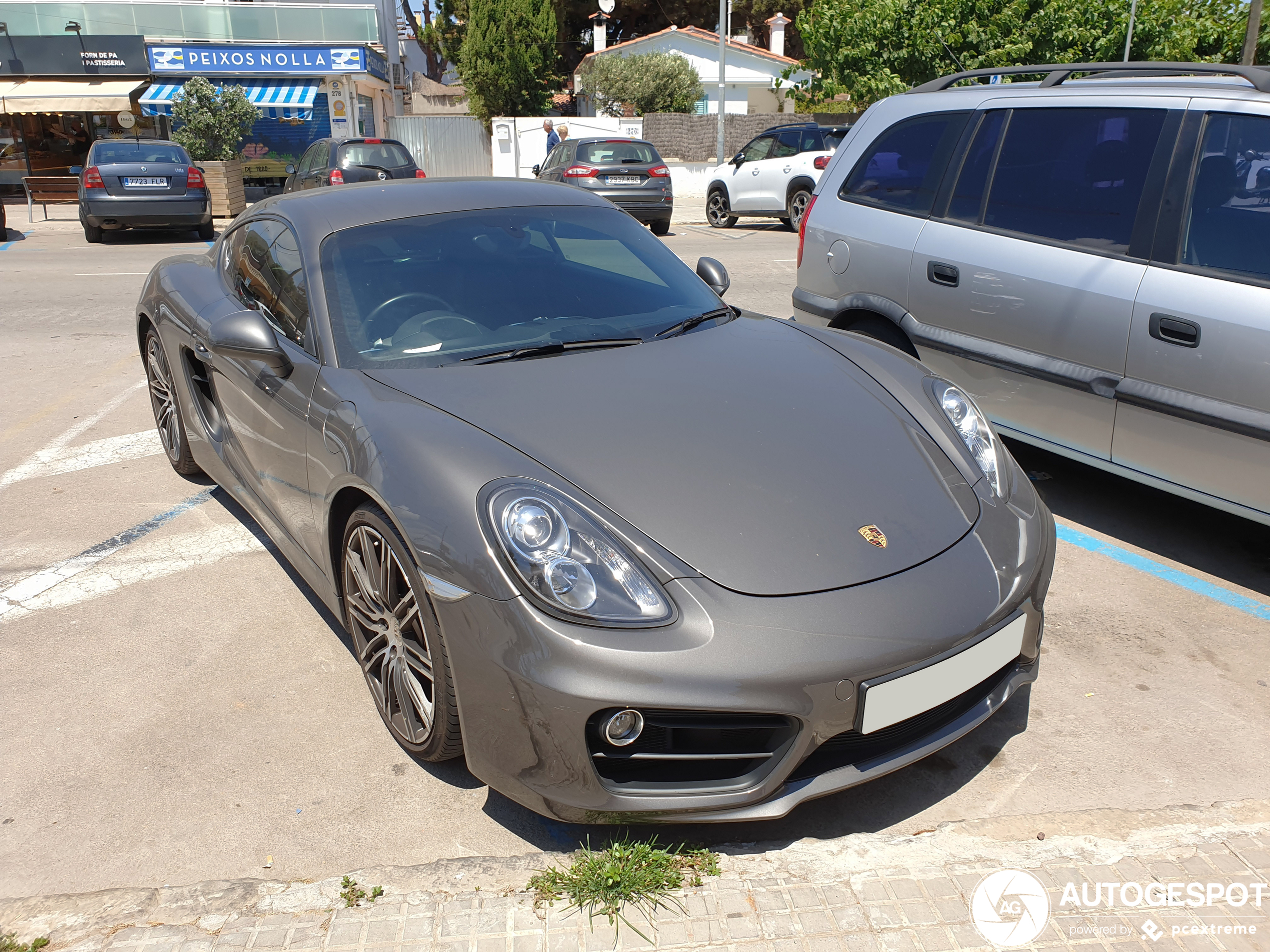 Porsche 981 Cayman S