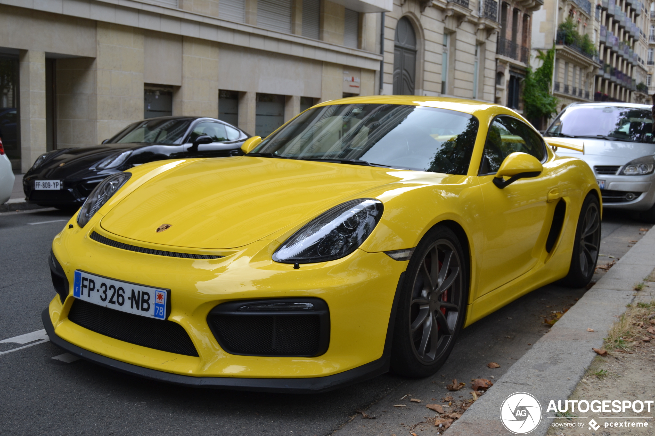 Porsche 981 Cayman GT4