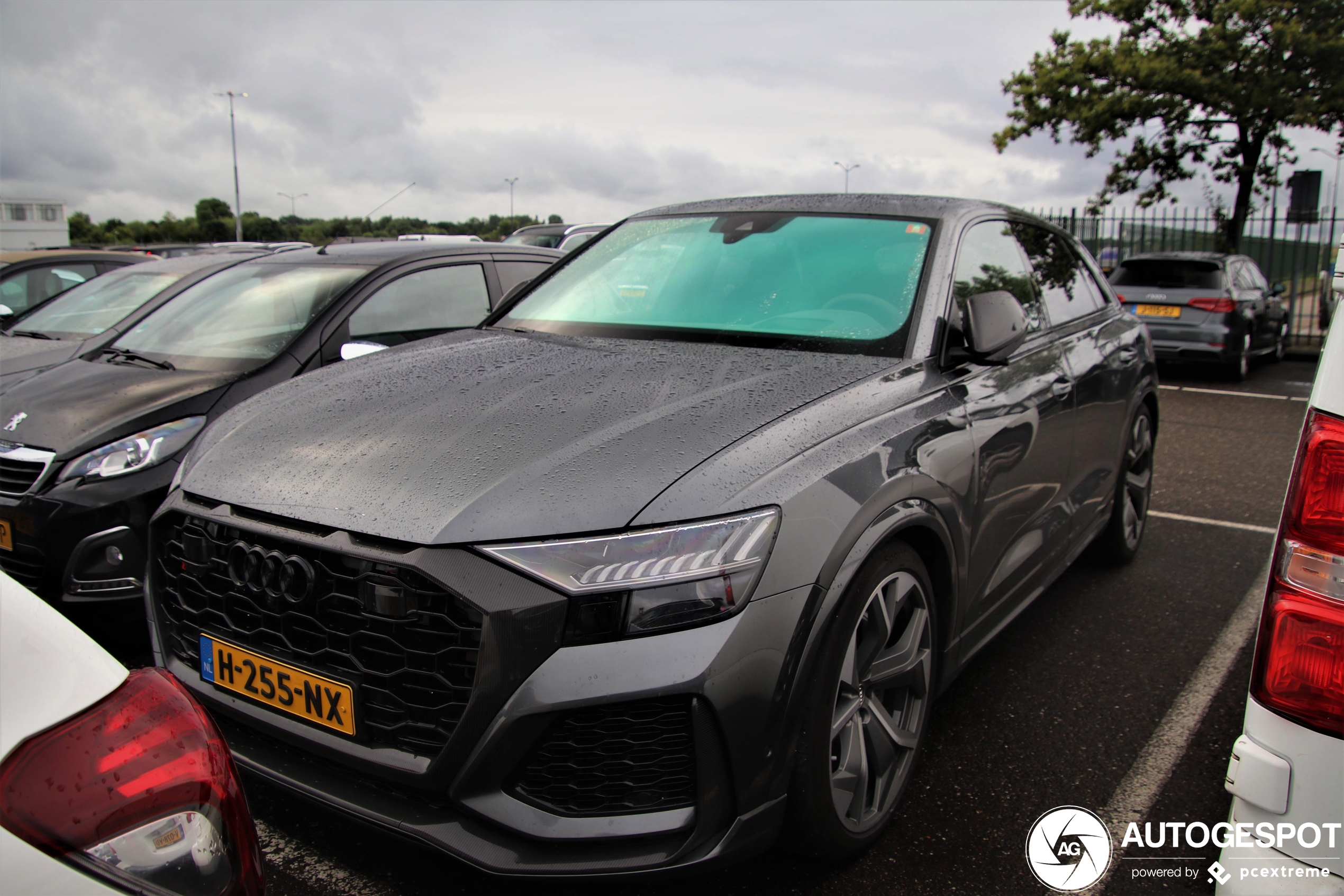 Audi RS Q8