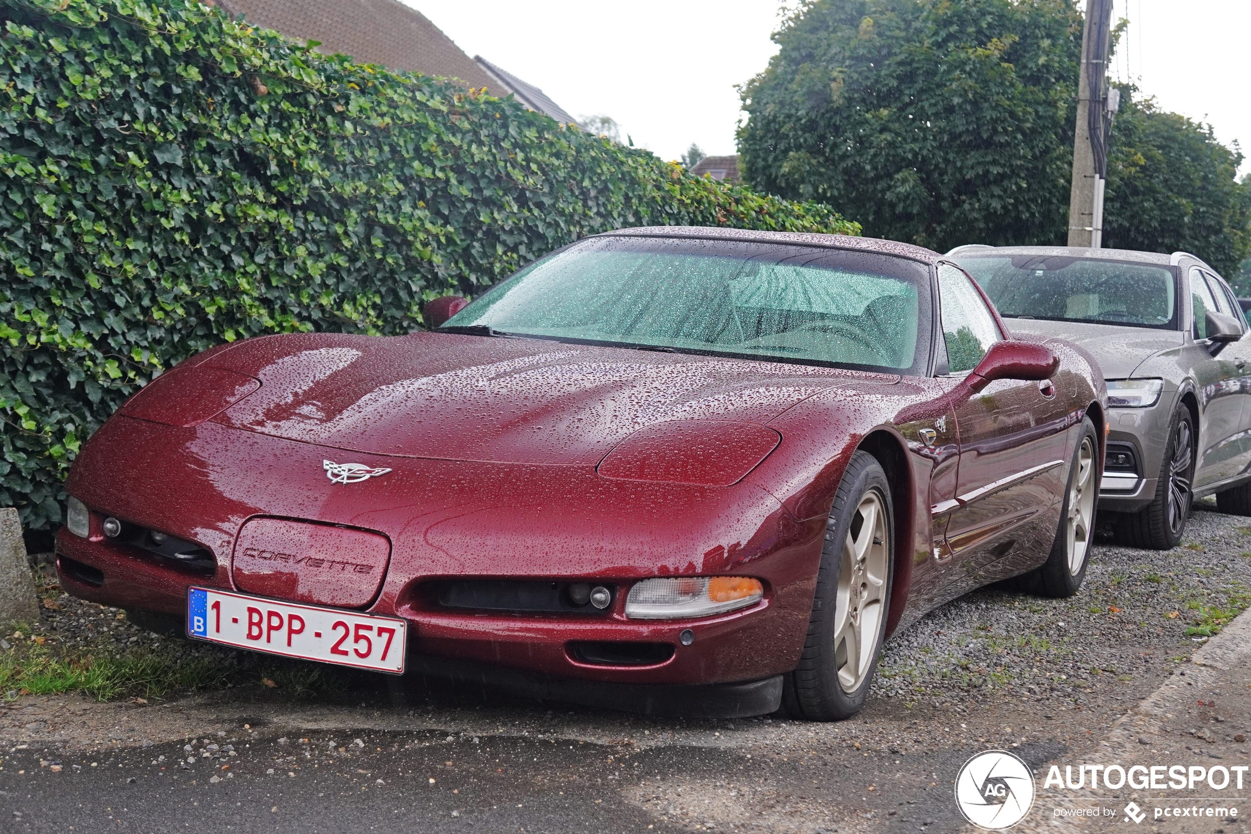 Chevrolet Corvette C5 50th Anniversary