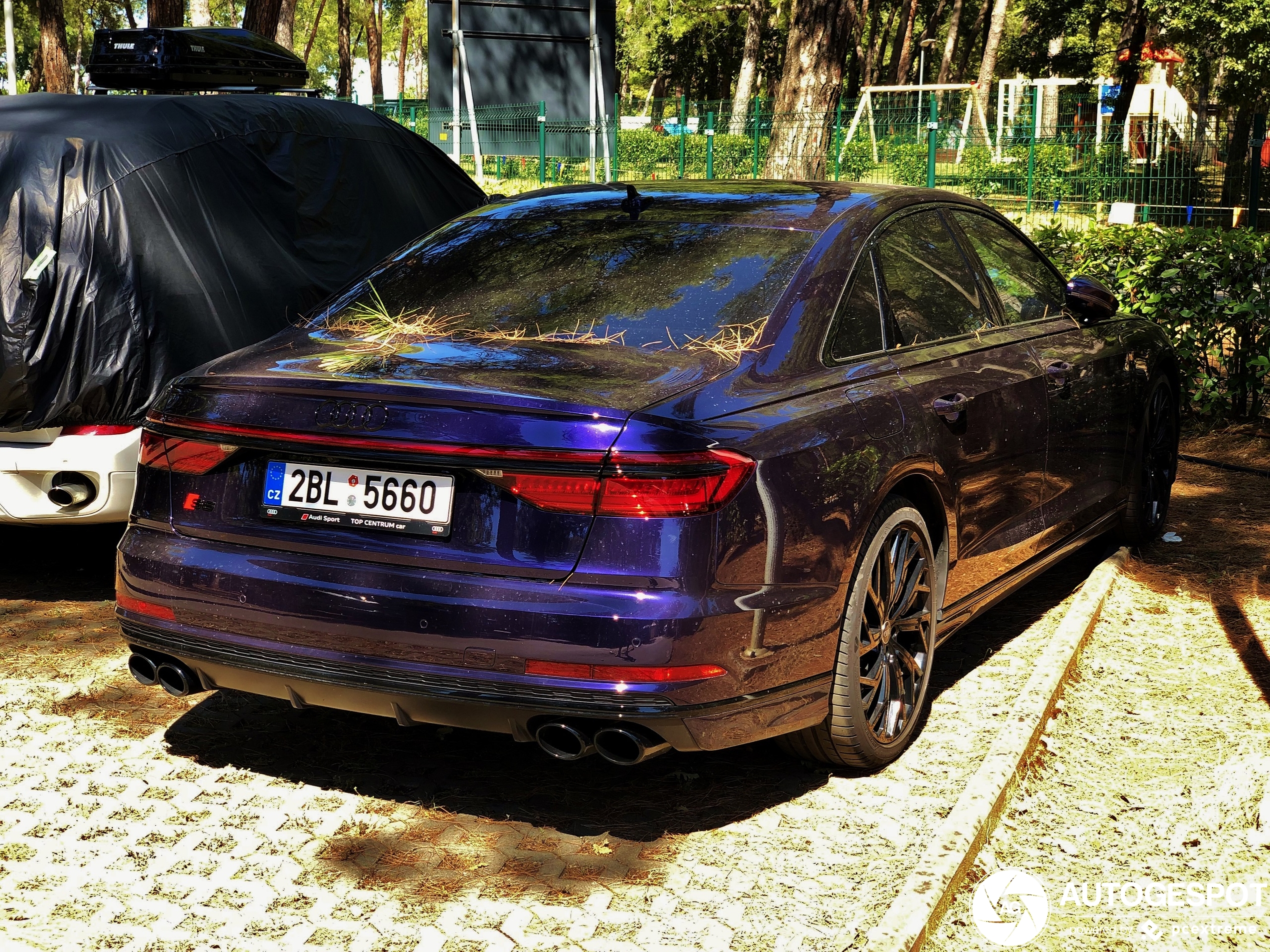 Audi S8 D5