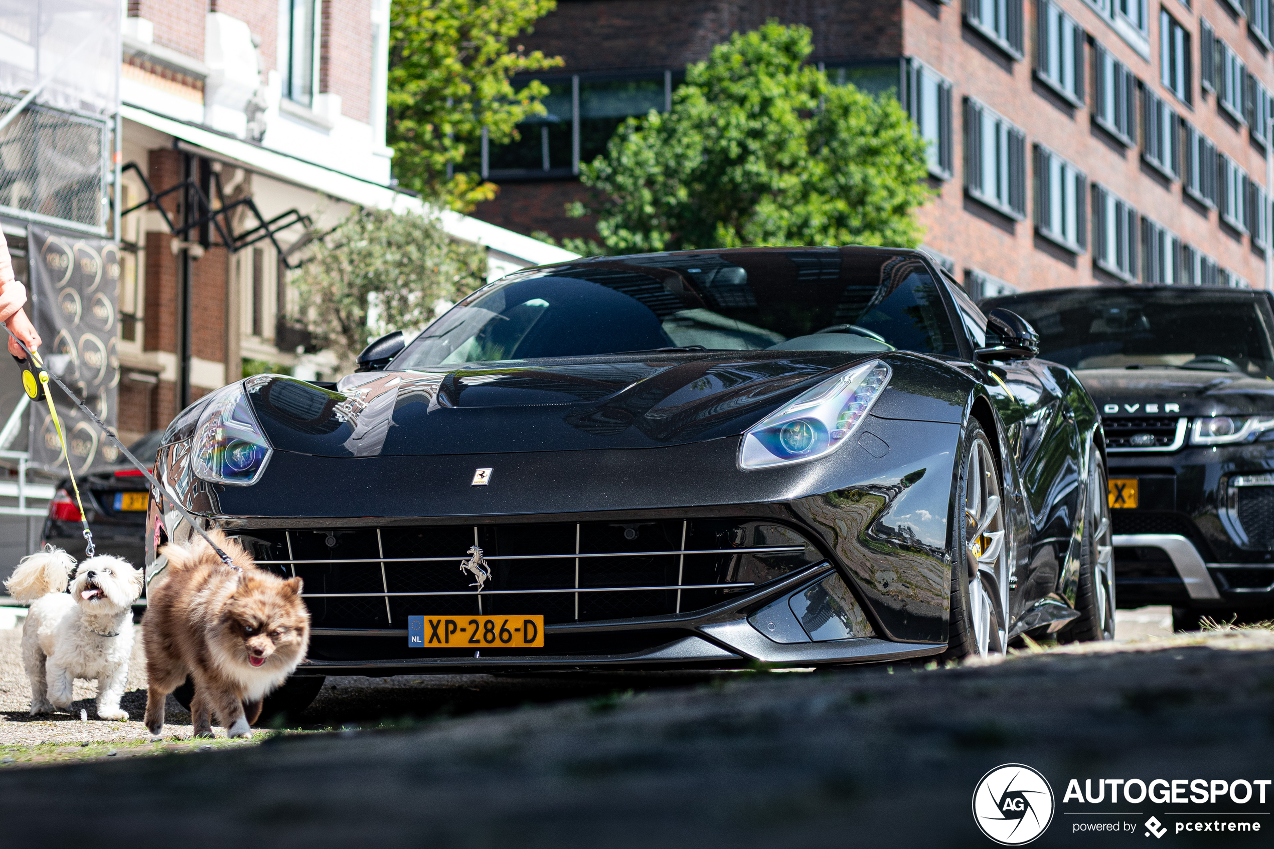 Ferrari F12berlinetta