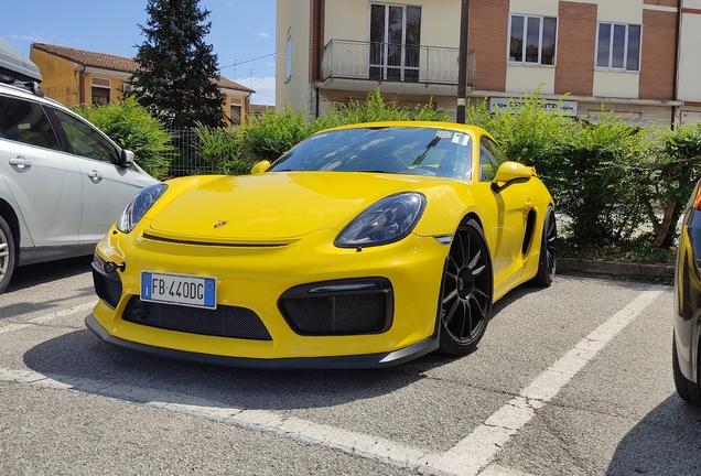 Porsche 981 Cayman GT4