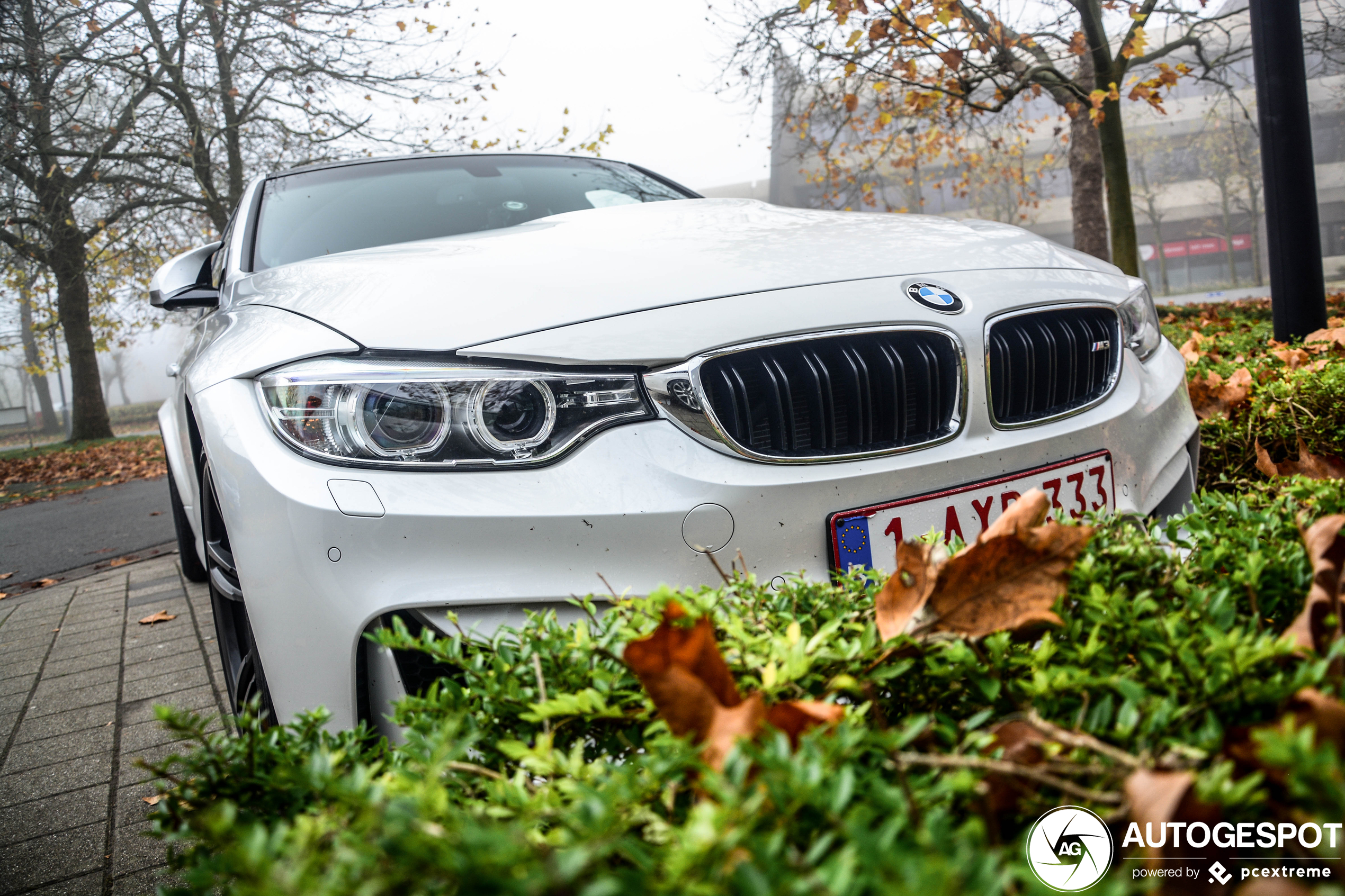 BMW M3 F80 Sedan