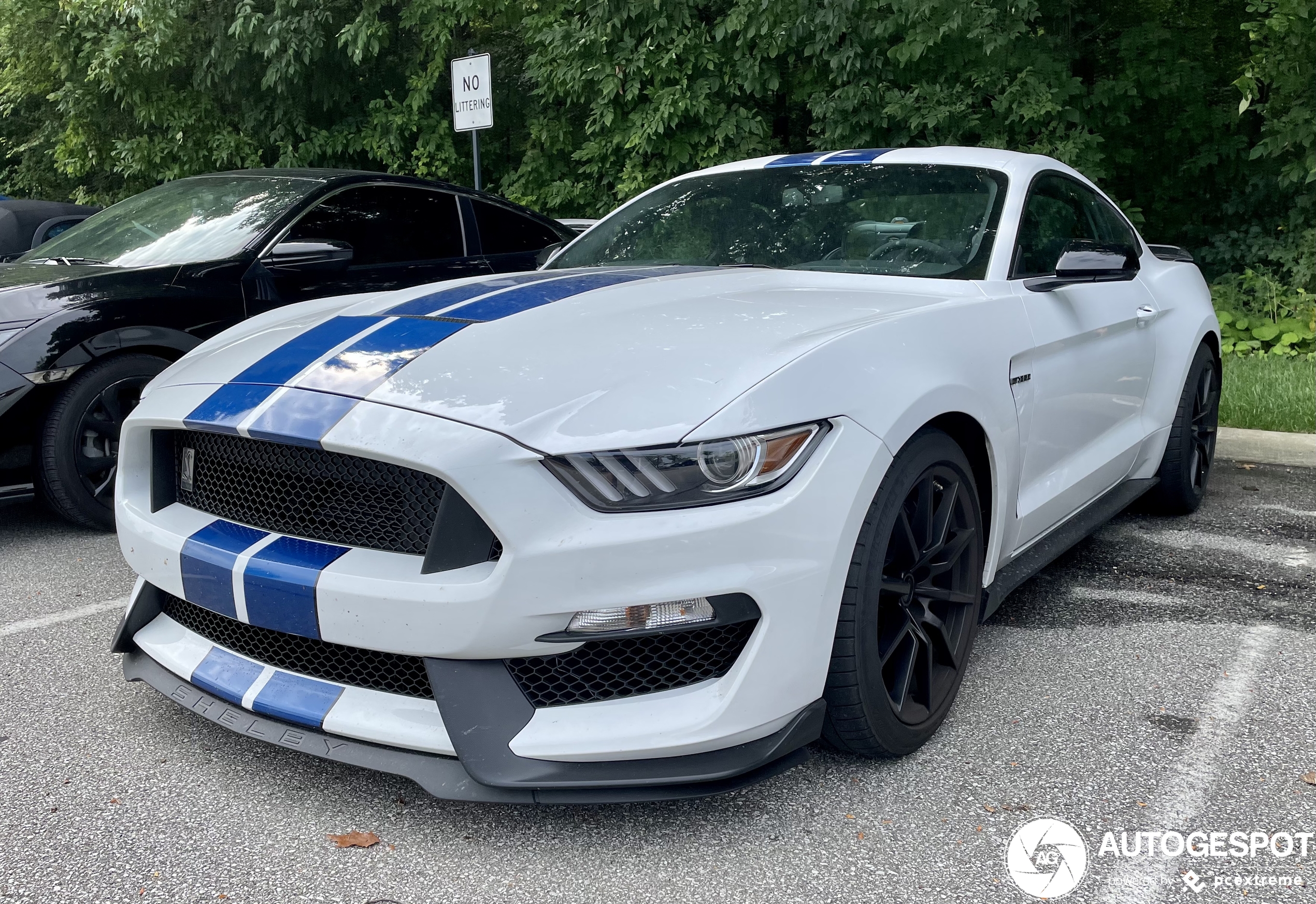 Ford Mustang Shelby GT350 2015