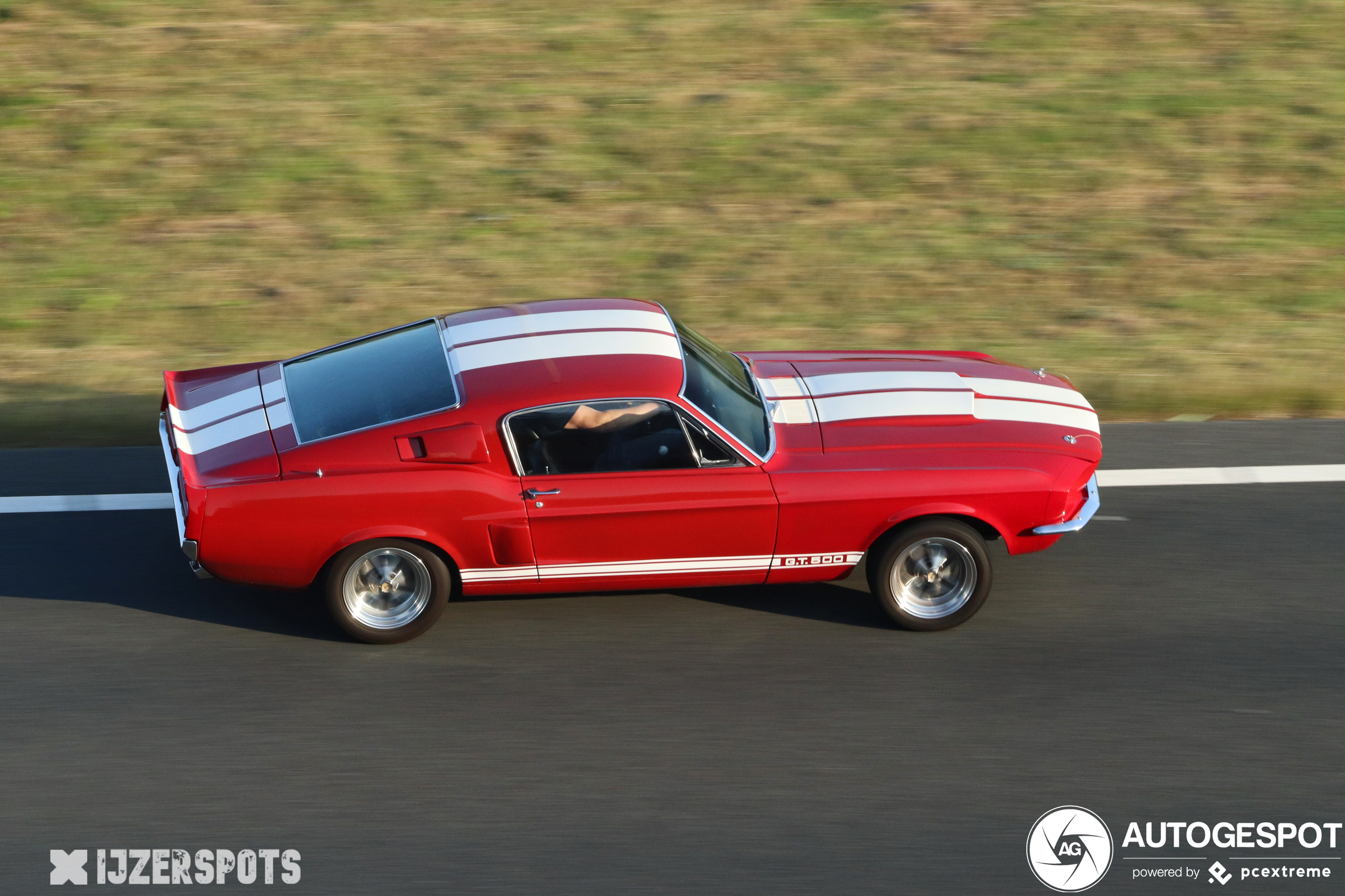 Ford Mustang Shelby G.T. 500