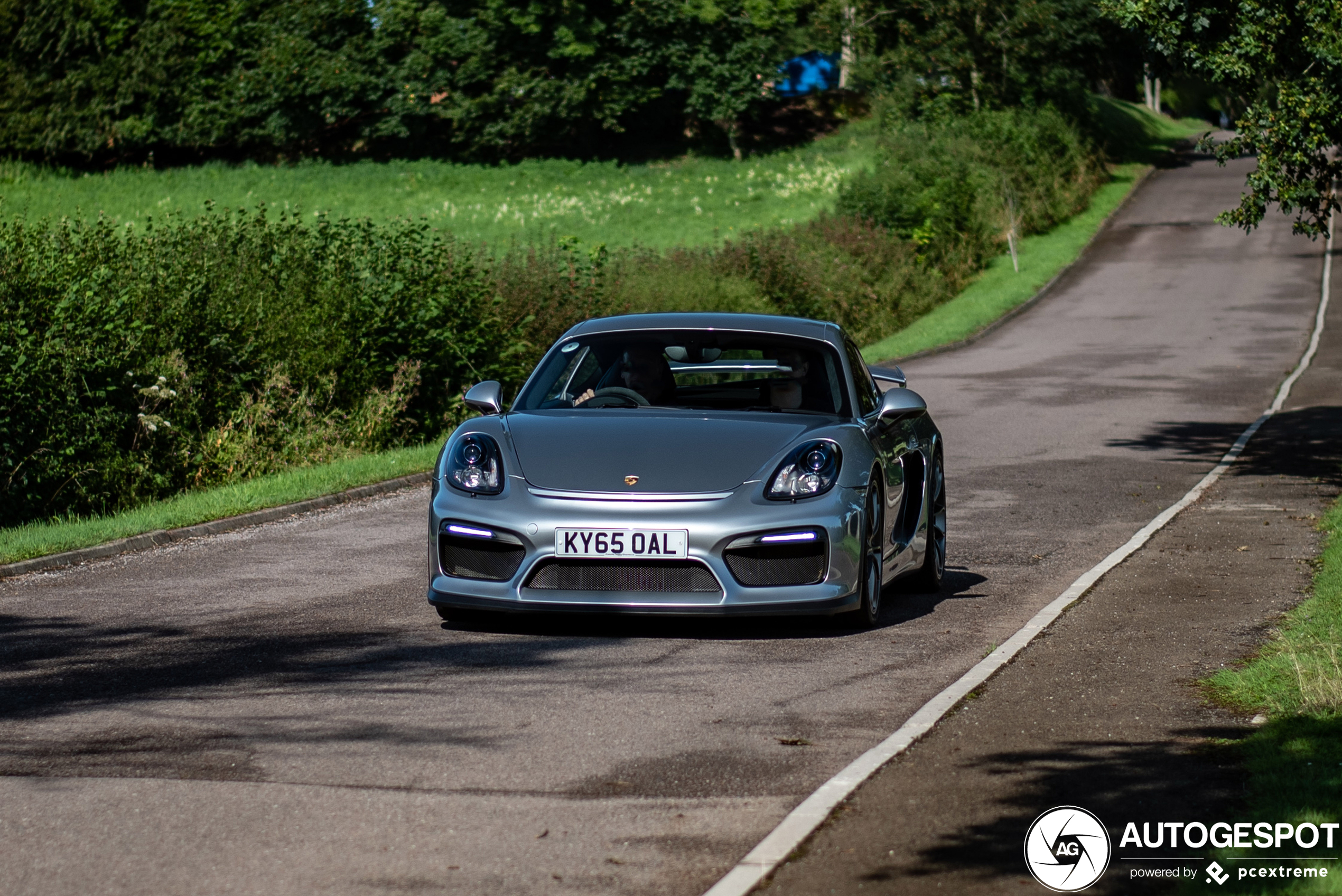 Porsche 981 Cayman GT4